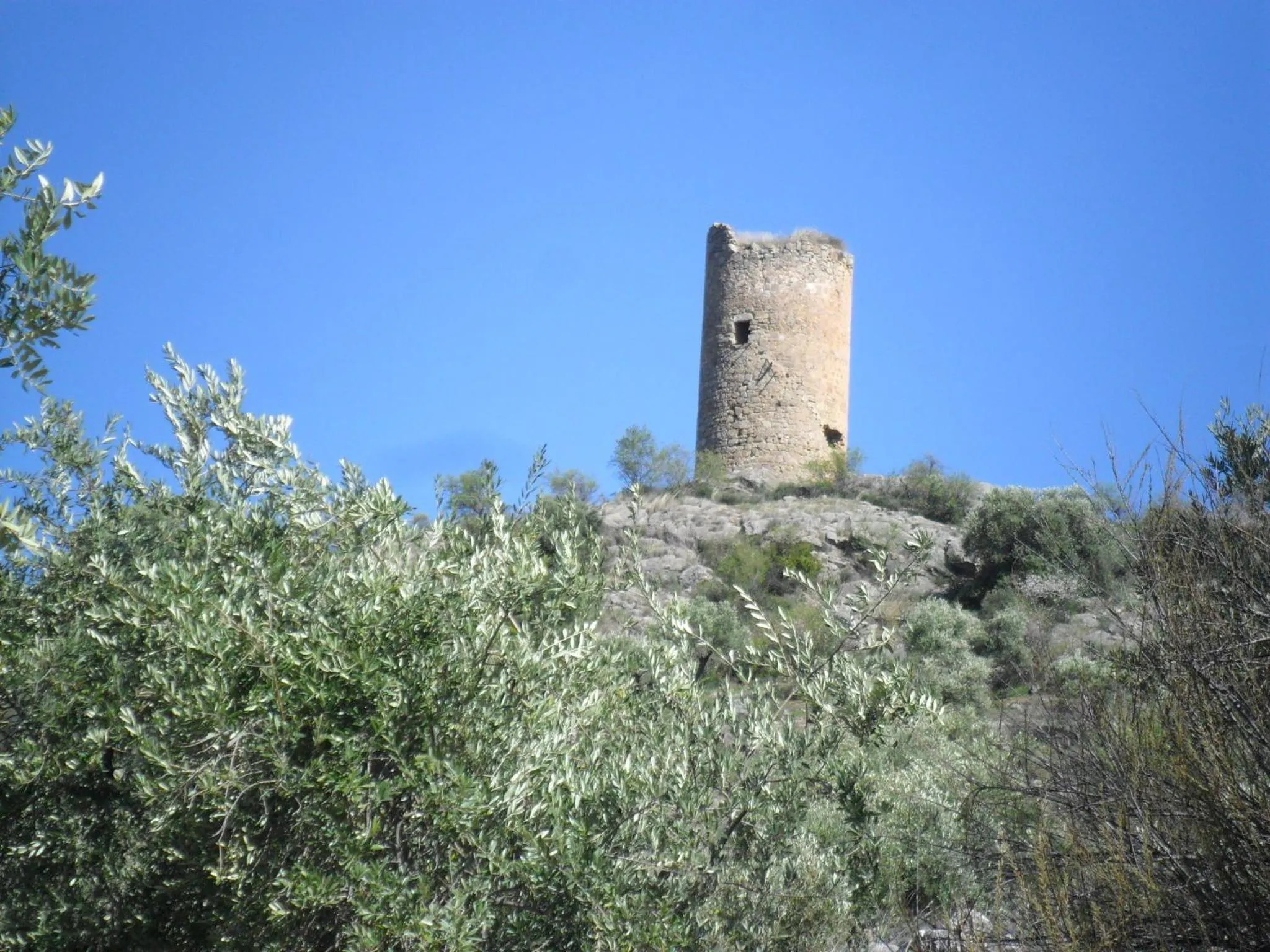 Natural landscape in Casa La Rosa