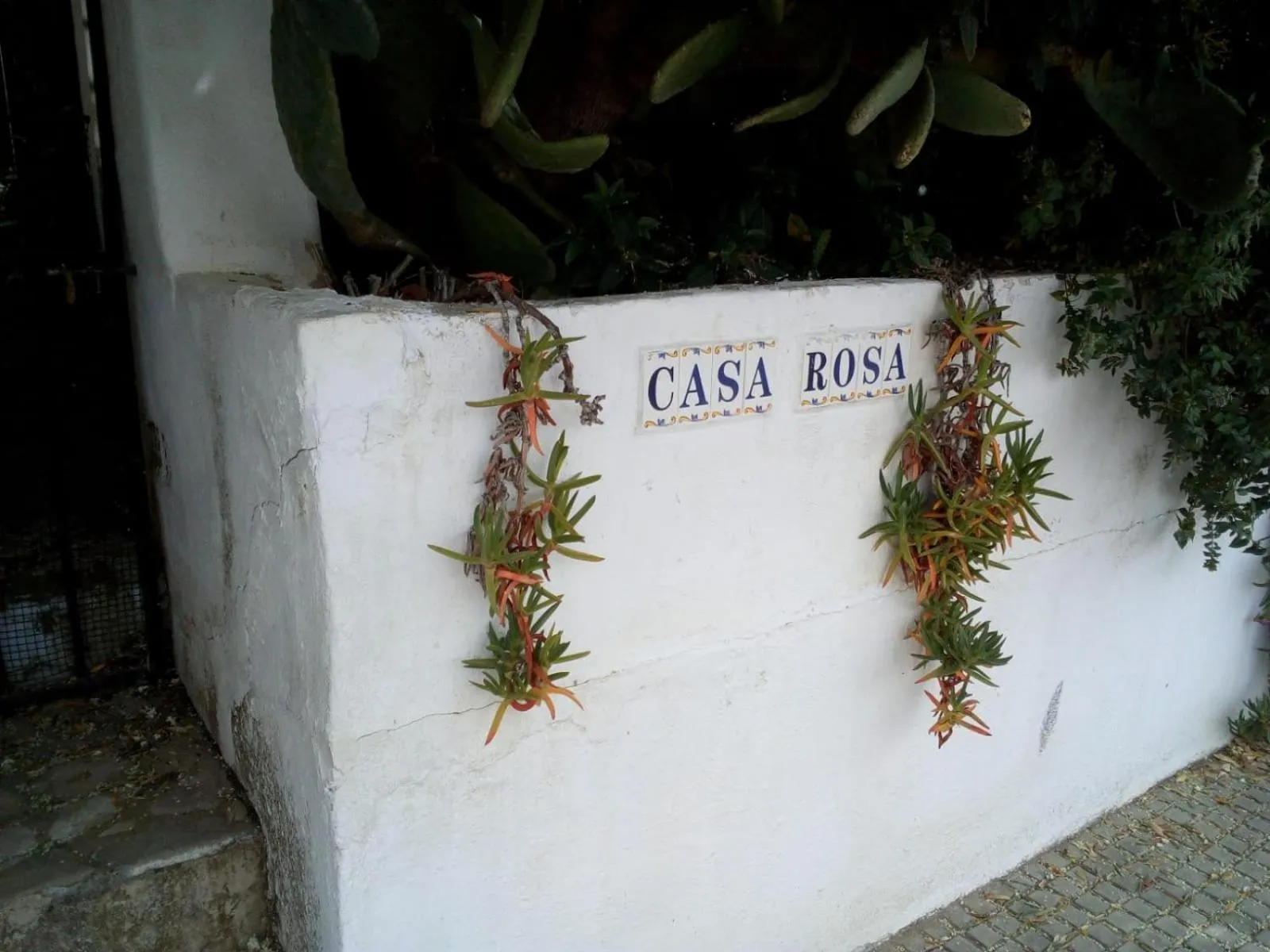 Casa La Rosa