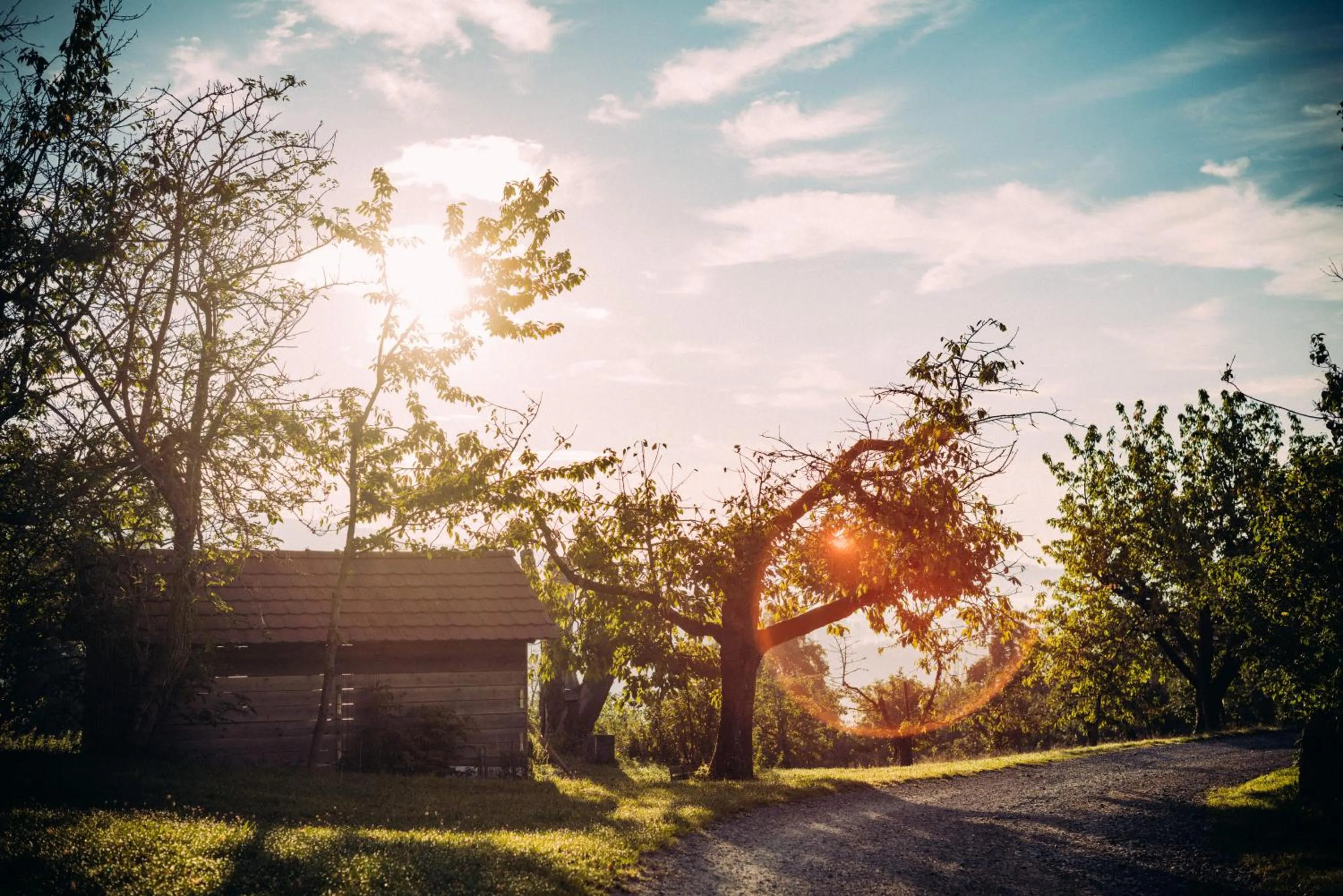 Natural landscape in Landgasthof Keller