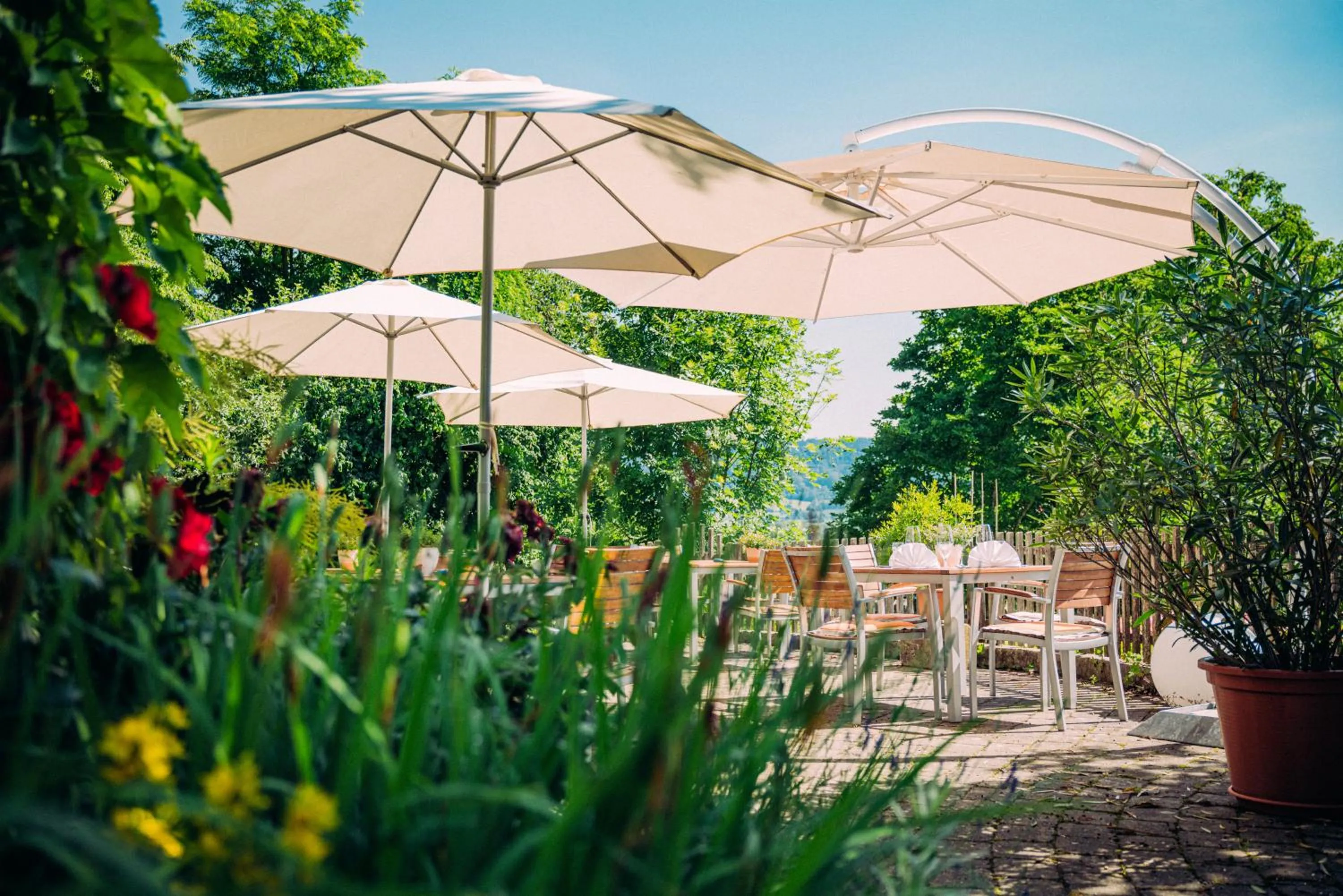Restaurant/places to eat in Landgasthof Keller