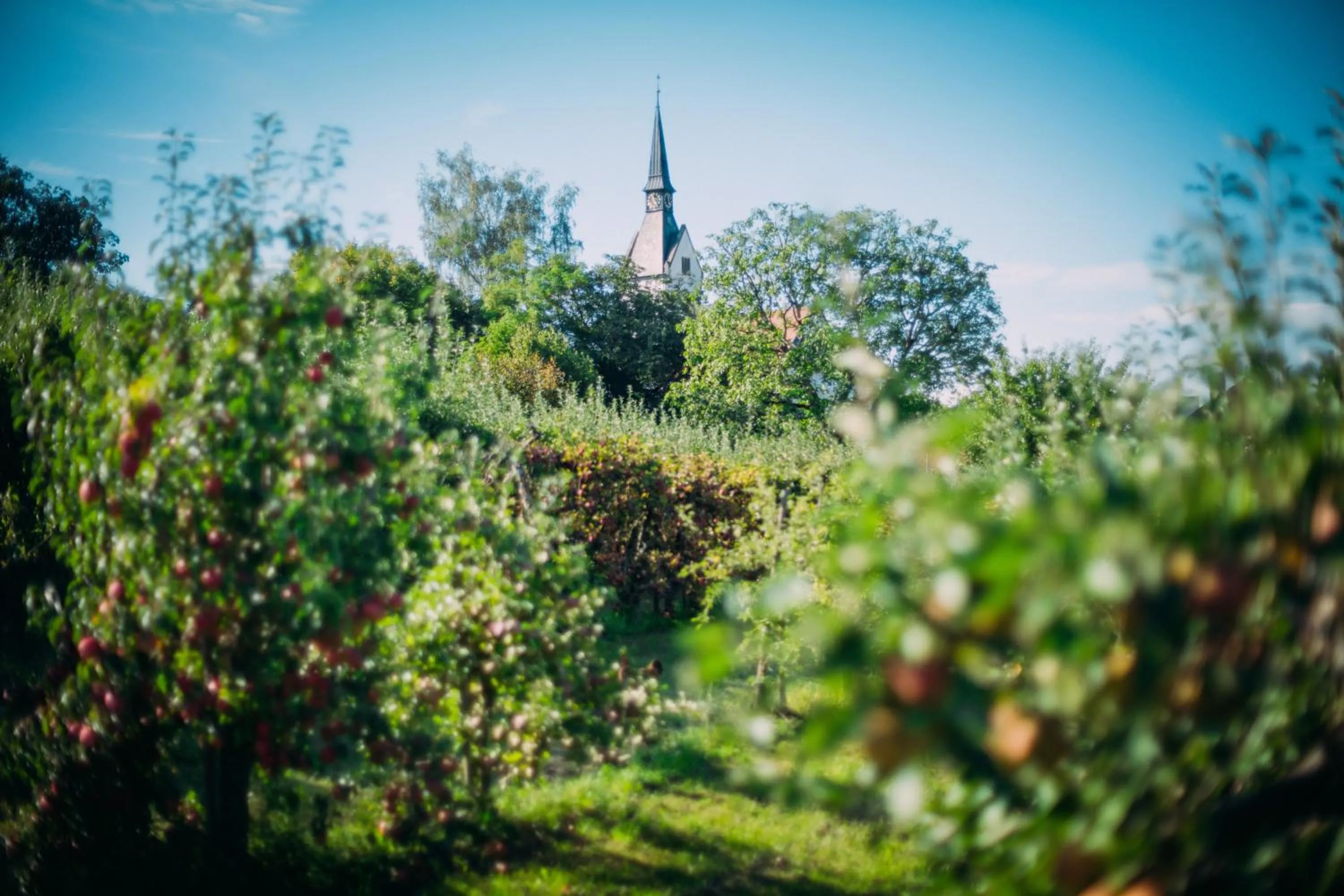 Garden in Landgasthof Keller
