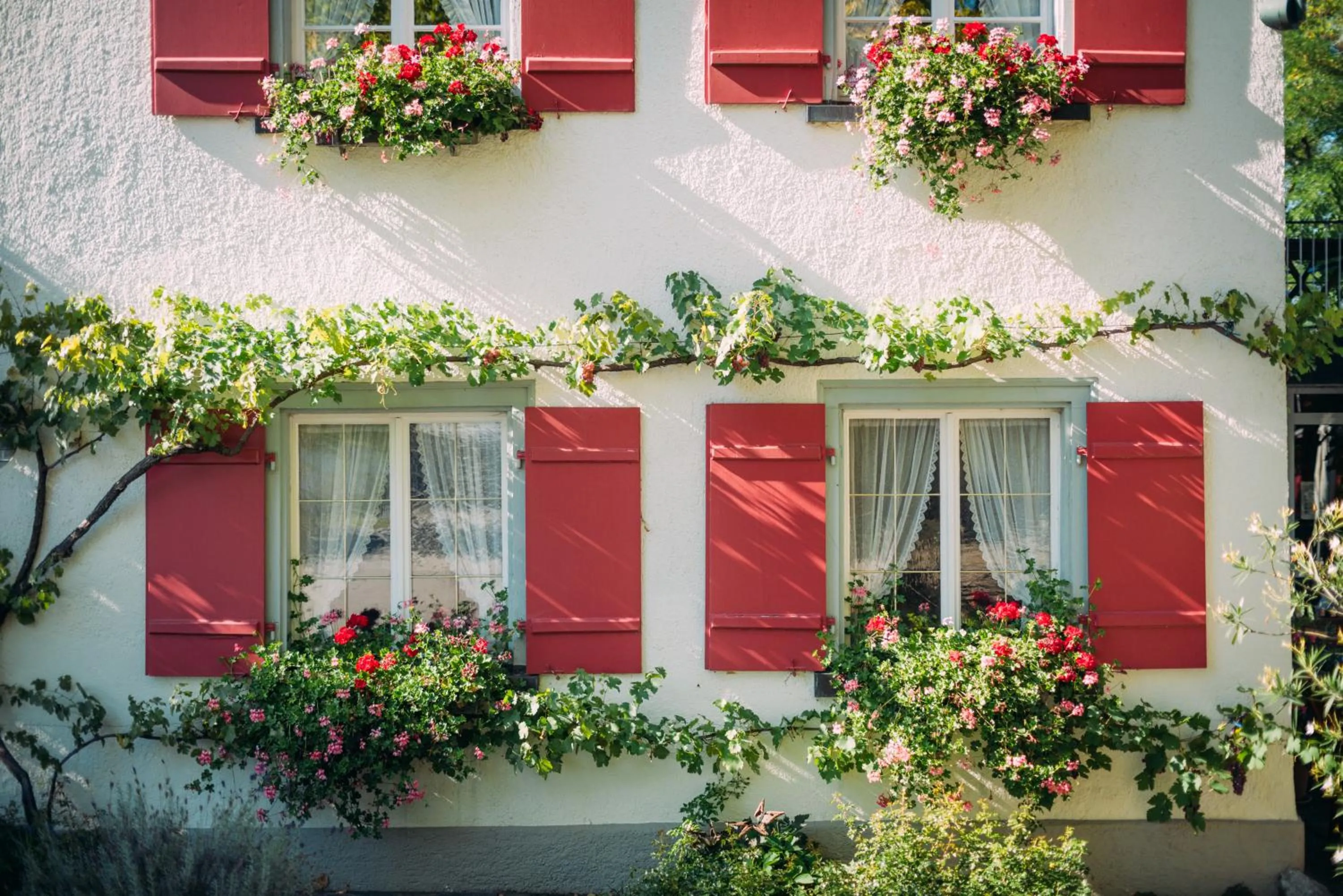 Facade/entrance in Landgasthof Keller