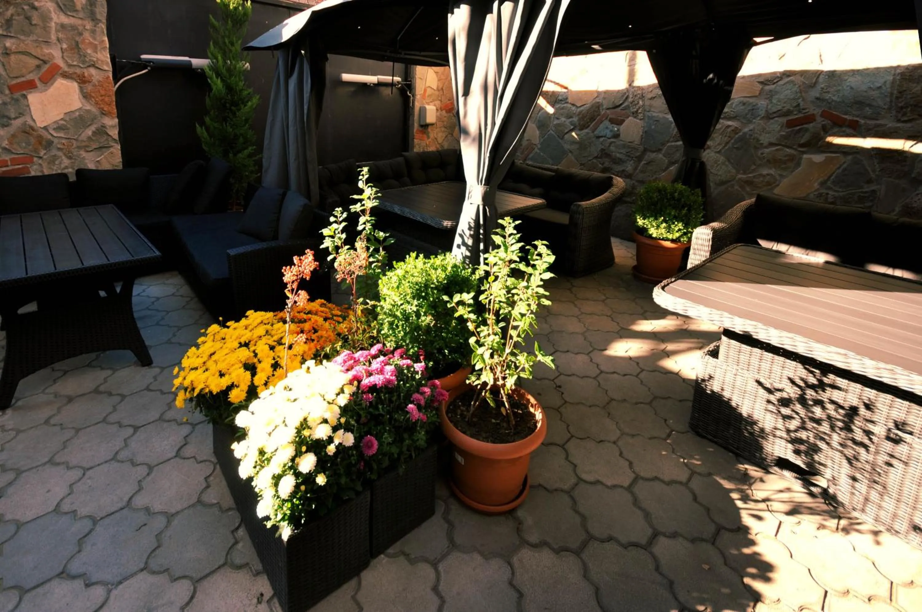 Garden in Hotel Majestic