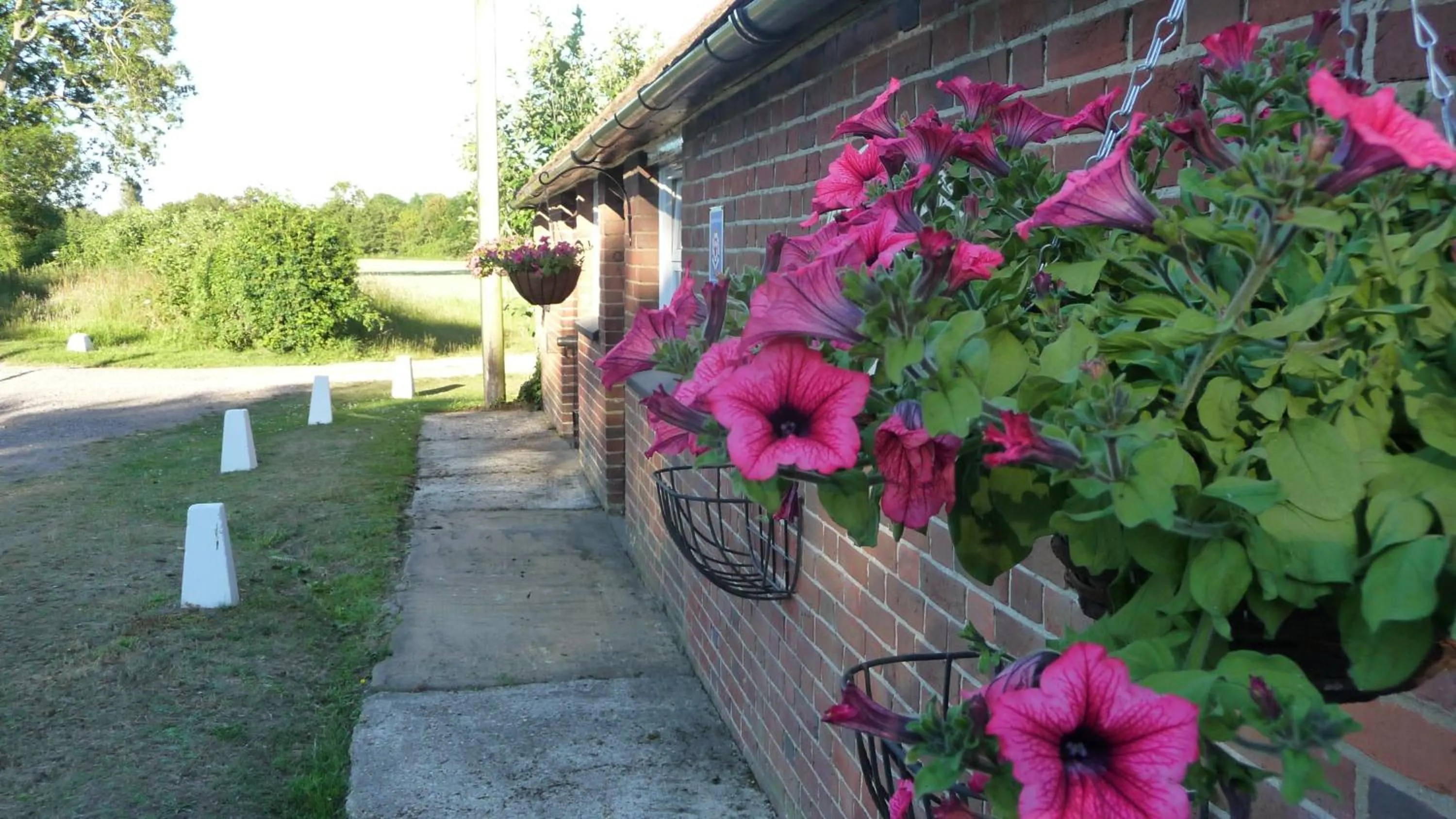Garden in Lockgate Dairy