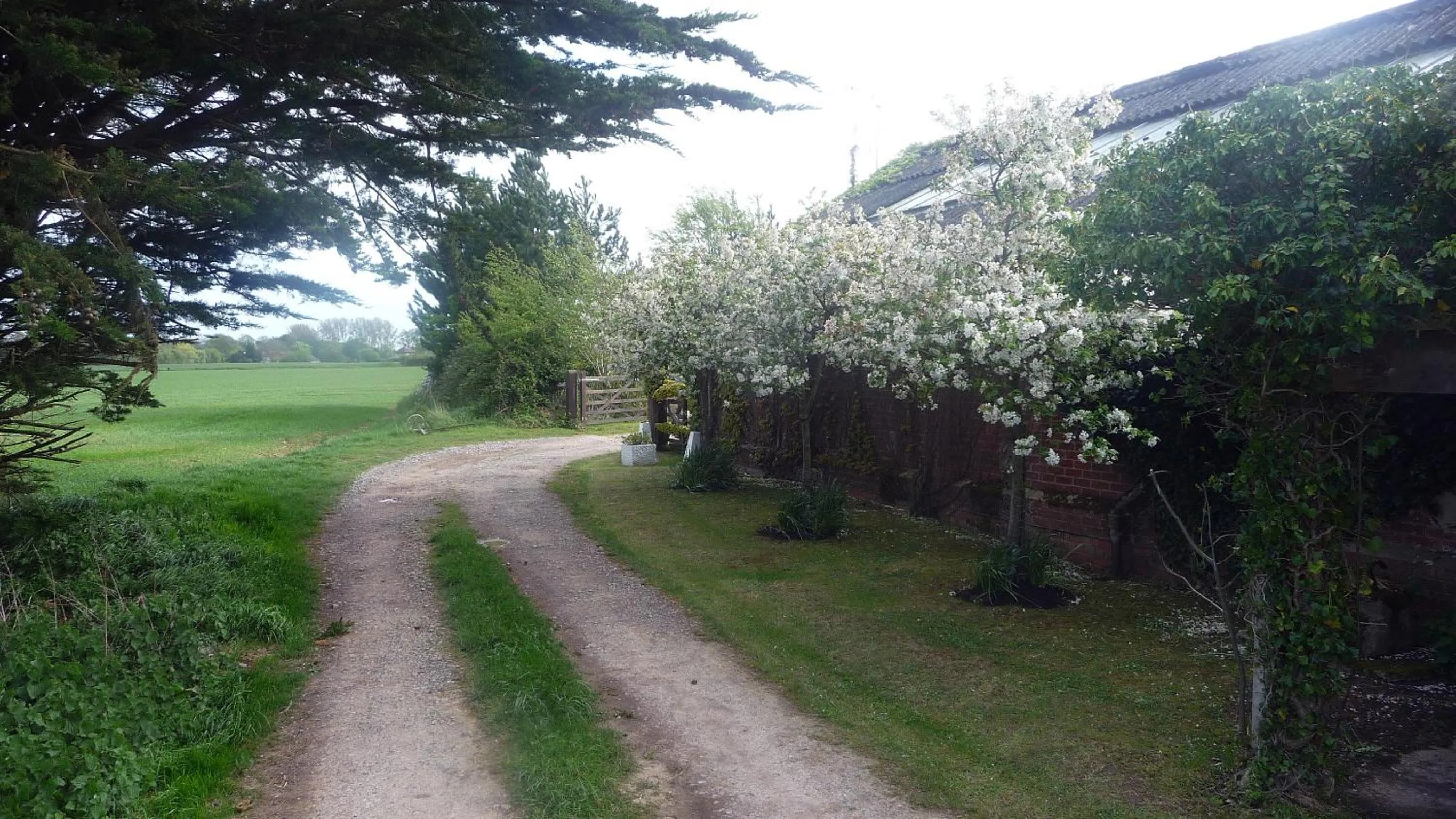Other, Garden in Lockgate Dairy