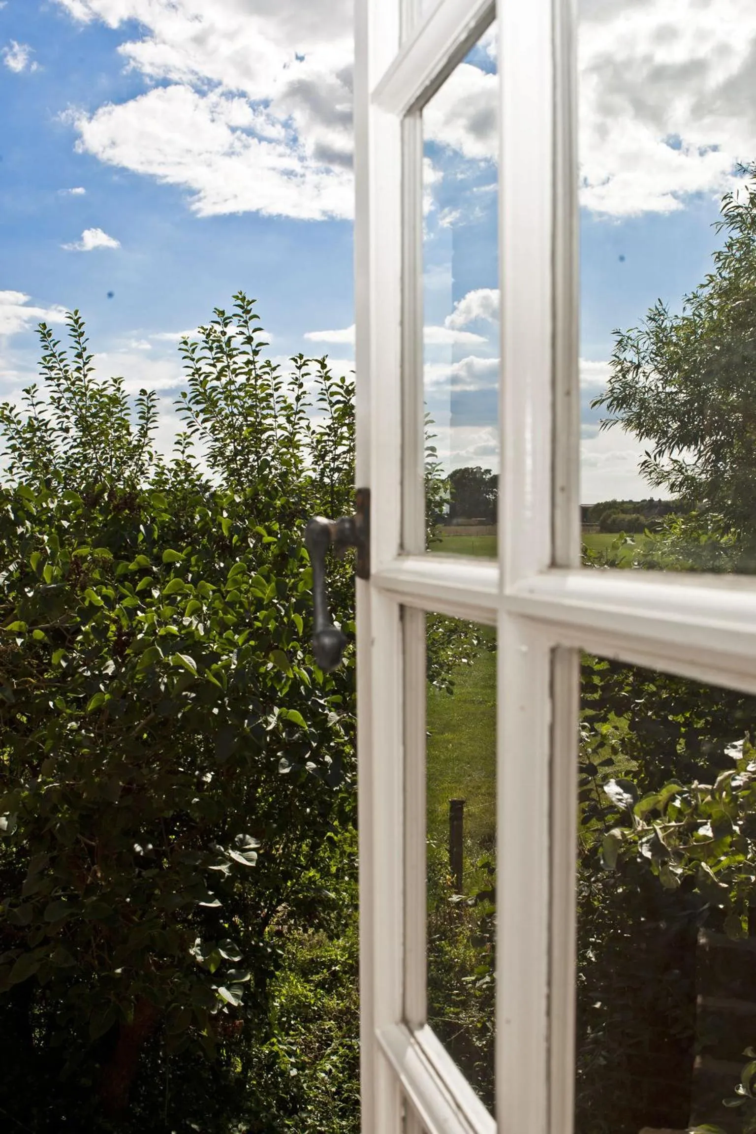 Garden view in Lockgate Dairy