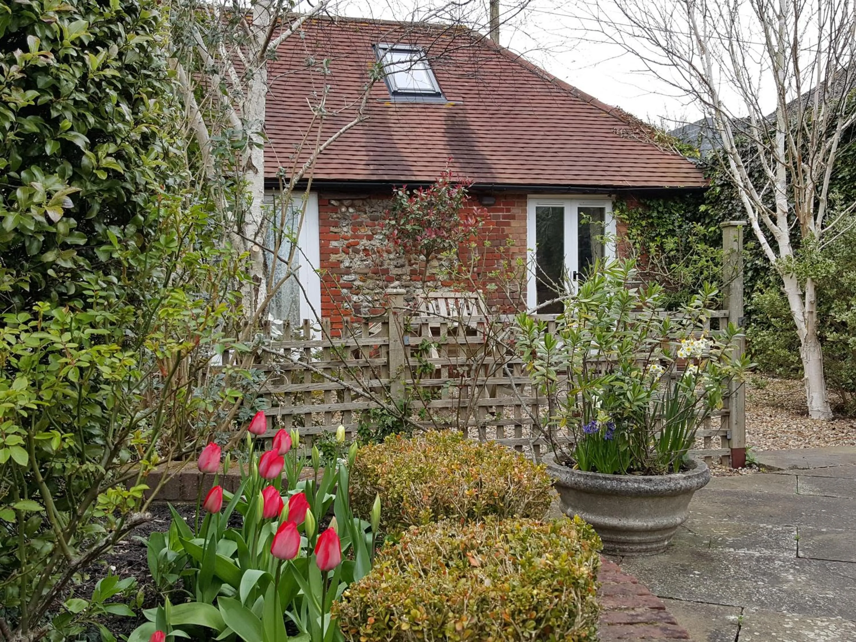 Garden in Lockgate Dairy