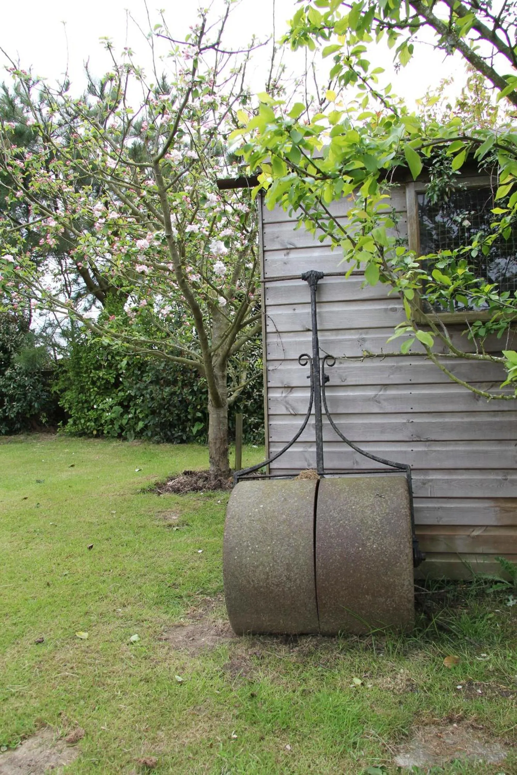 Garden view, Garden in Lockgate Dairy