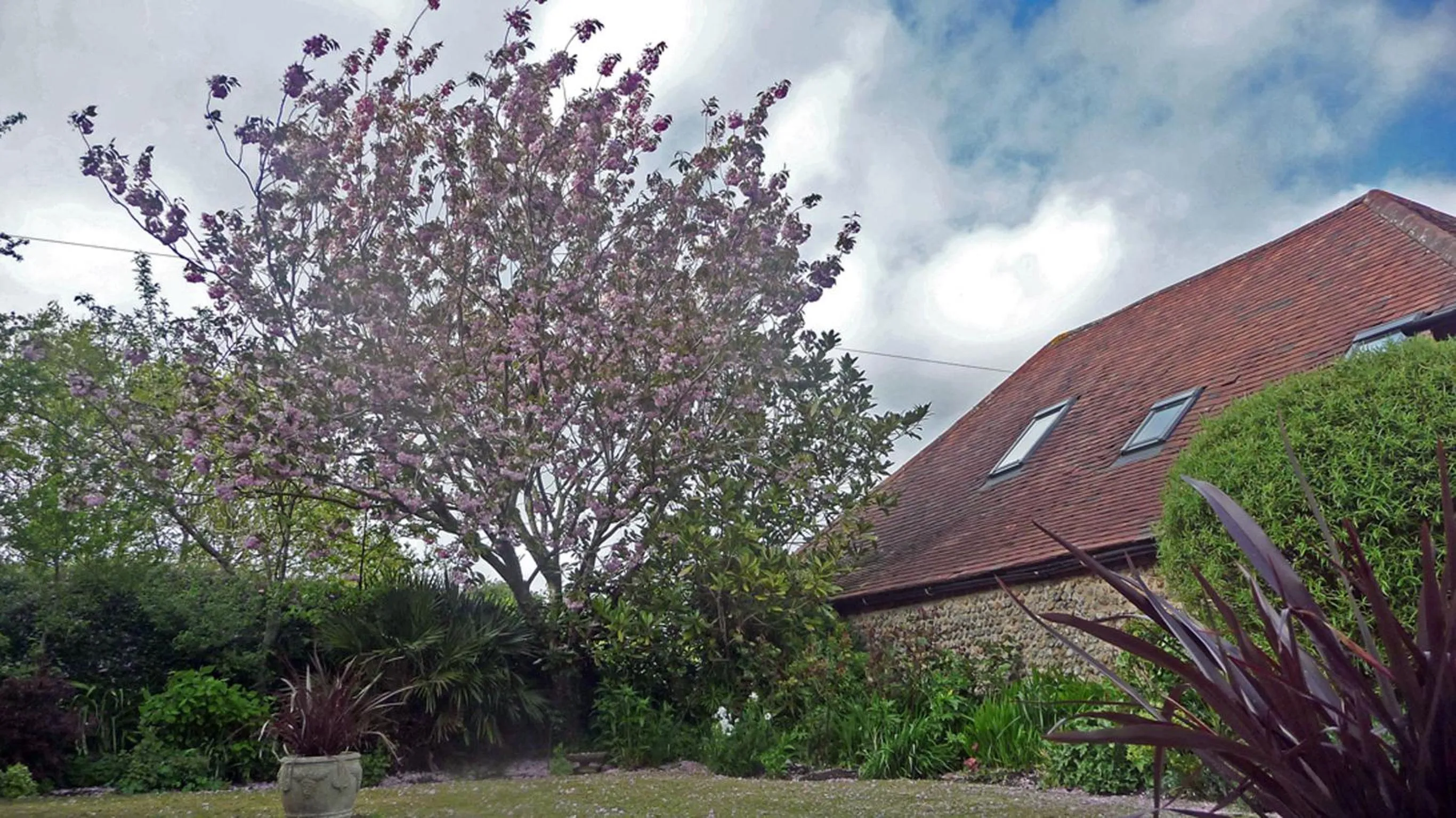 Natural landscape in Lockgate Dairy