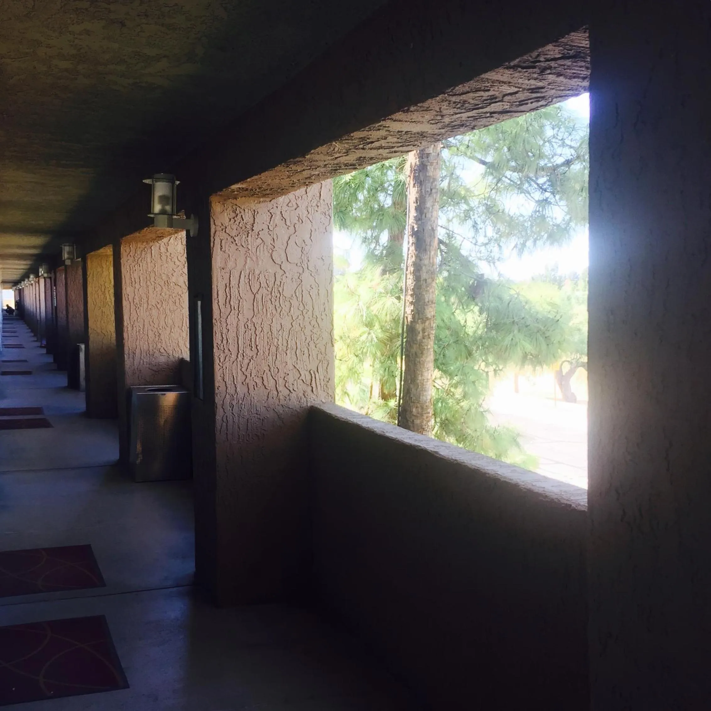 View (from property/room) in 3 Palms Hotel