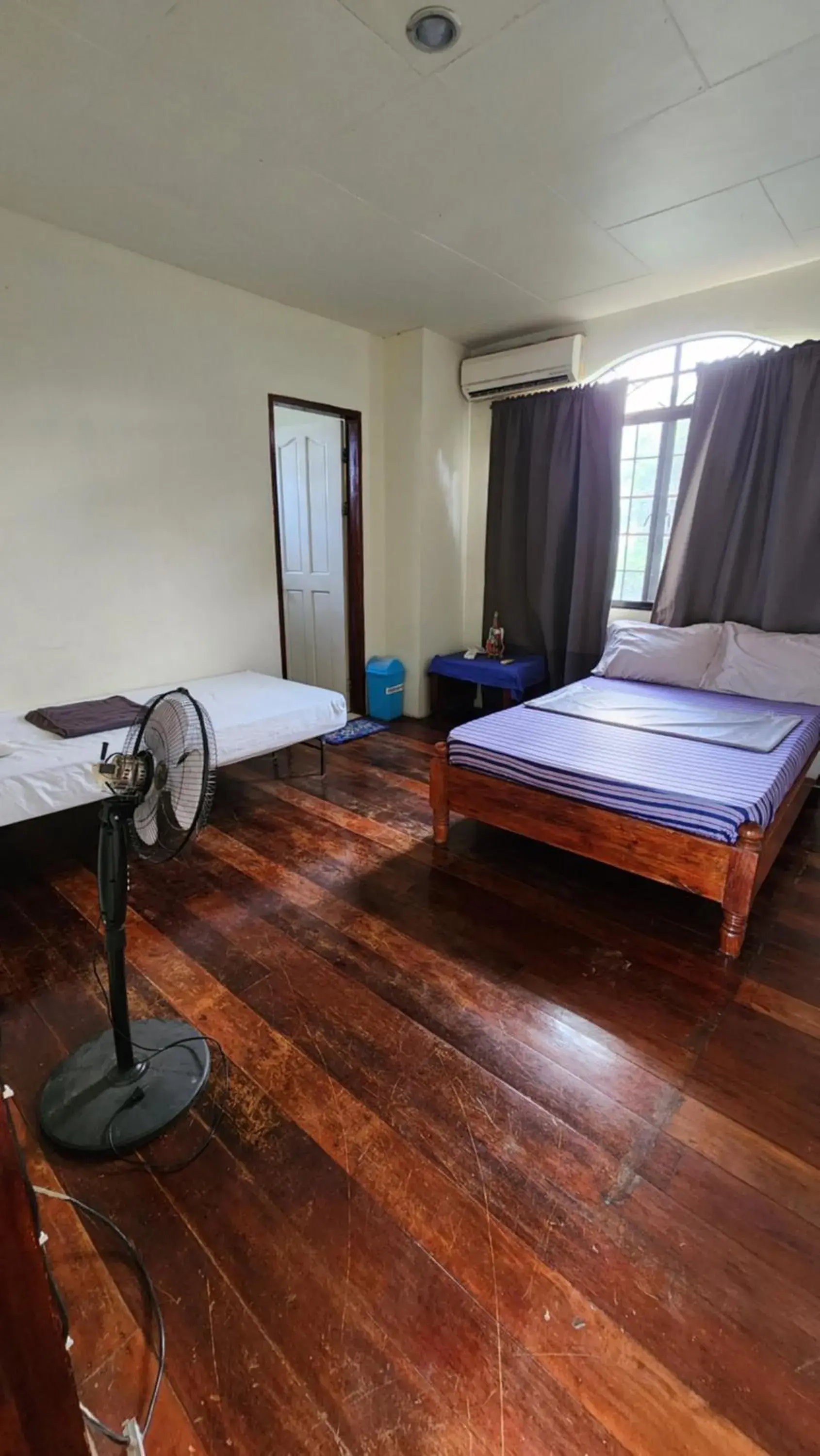 Budget Double or Twin Room in Screaming Gecko Hostel Budget Double or Twin Room in Screaming Gecko Hostel