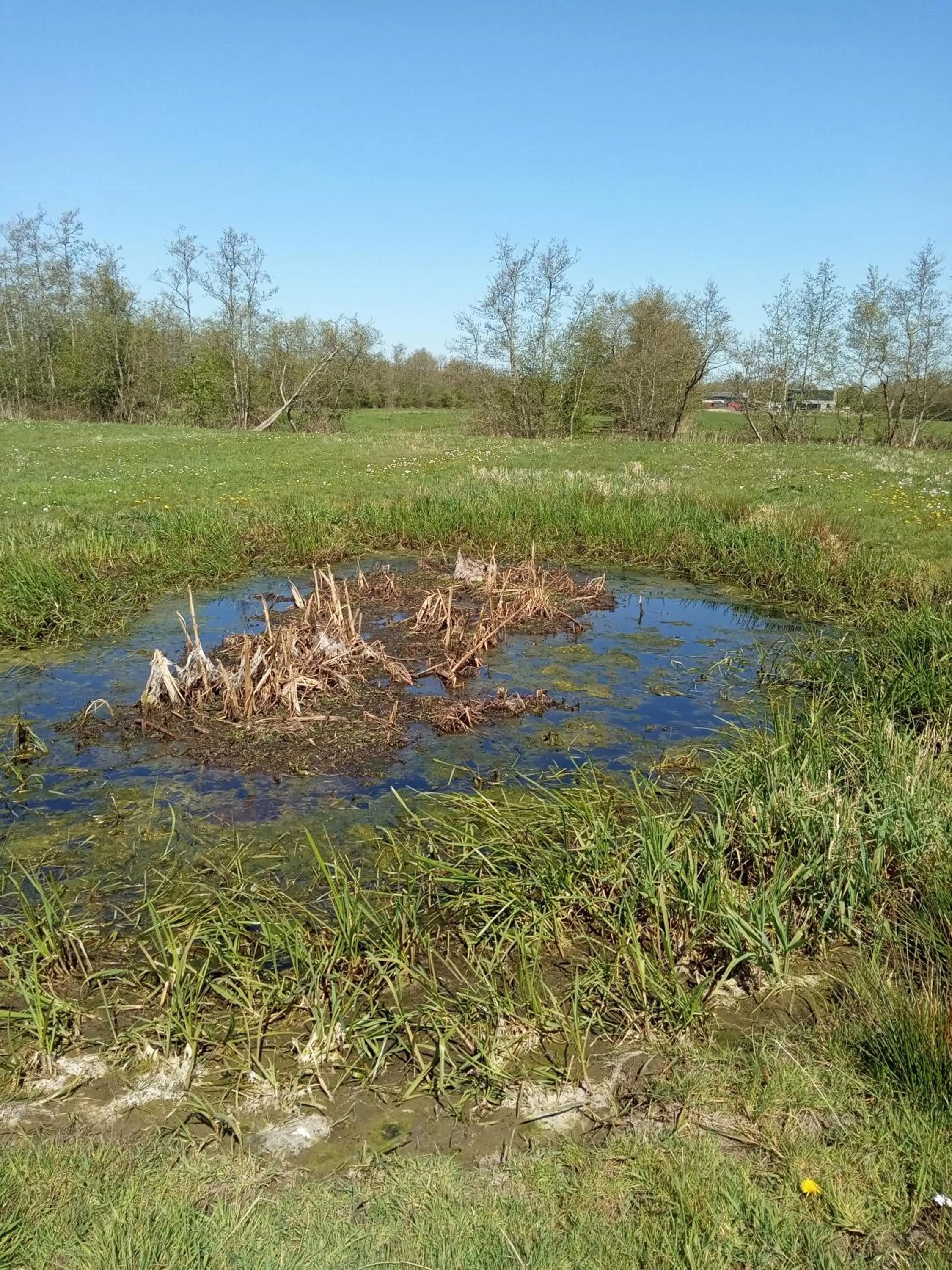 Natural landscape in Bij Maus