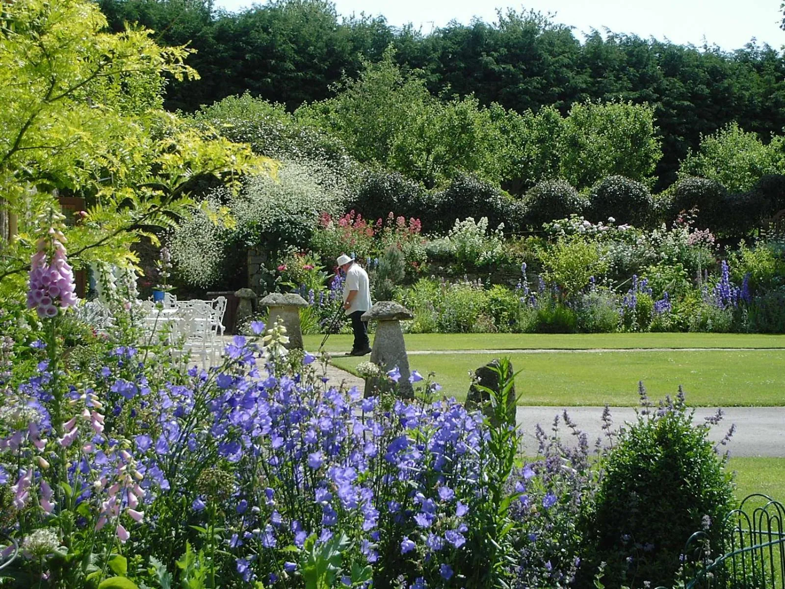 Garden in Plumber Manor Hotel