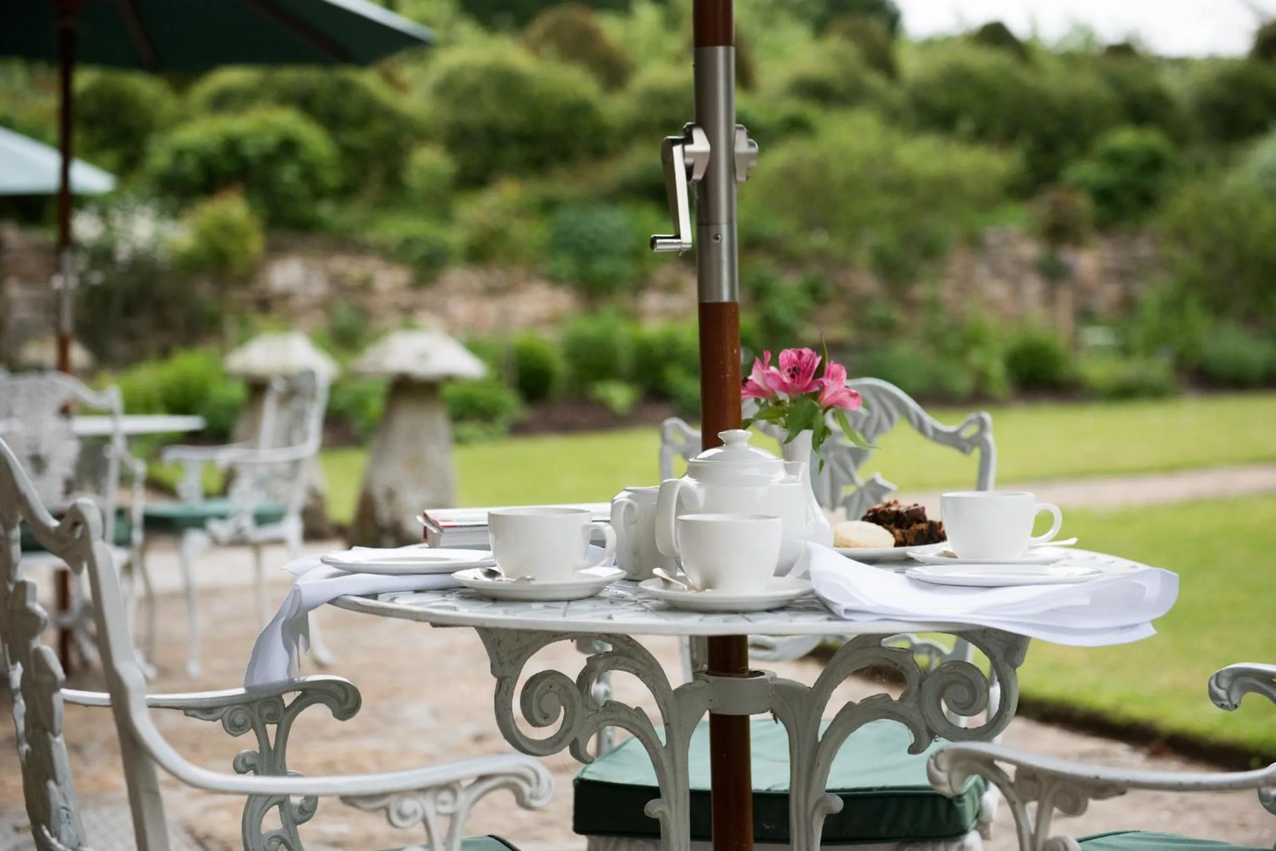 Garden in Plumber Manor Hotel