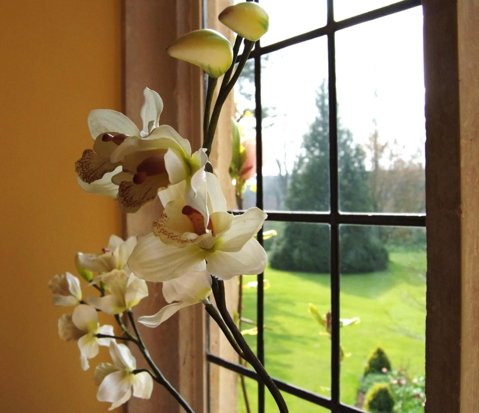 Garden view in Plumber Manor Hotel