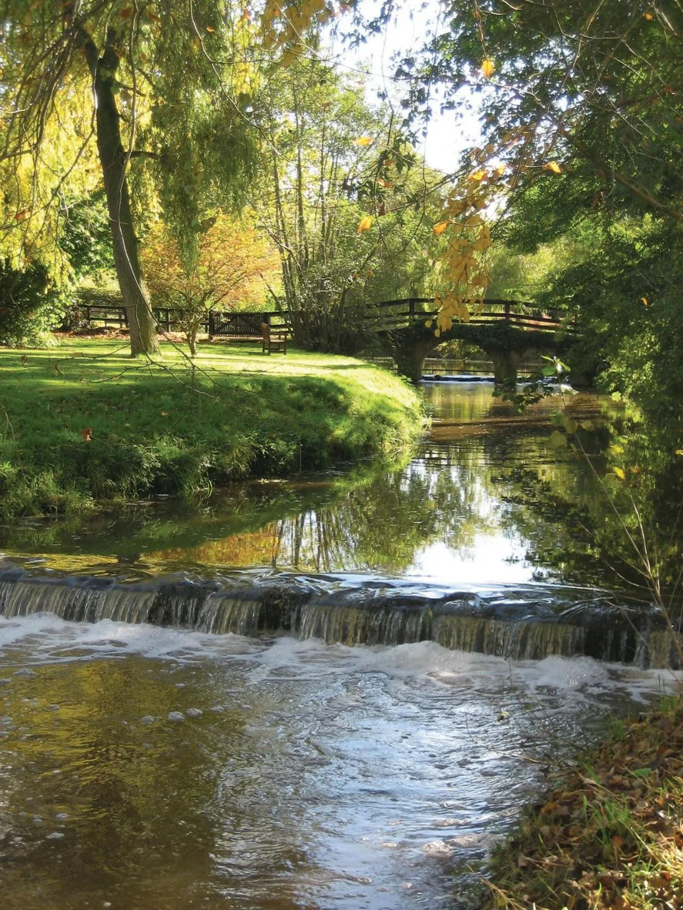 Garden in Plumber Manor Hotel
