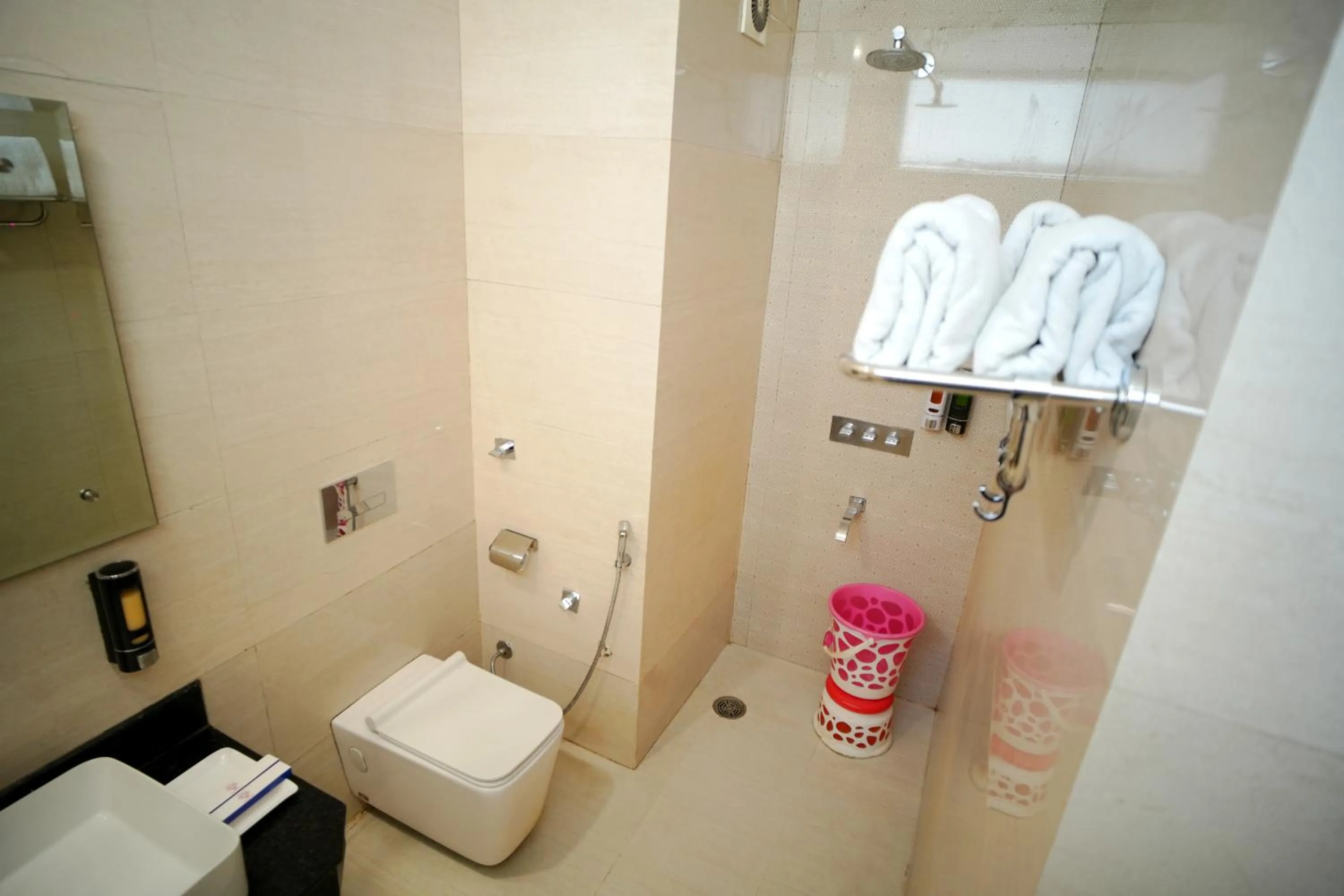 Toilet in Hotel Kalka Royal