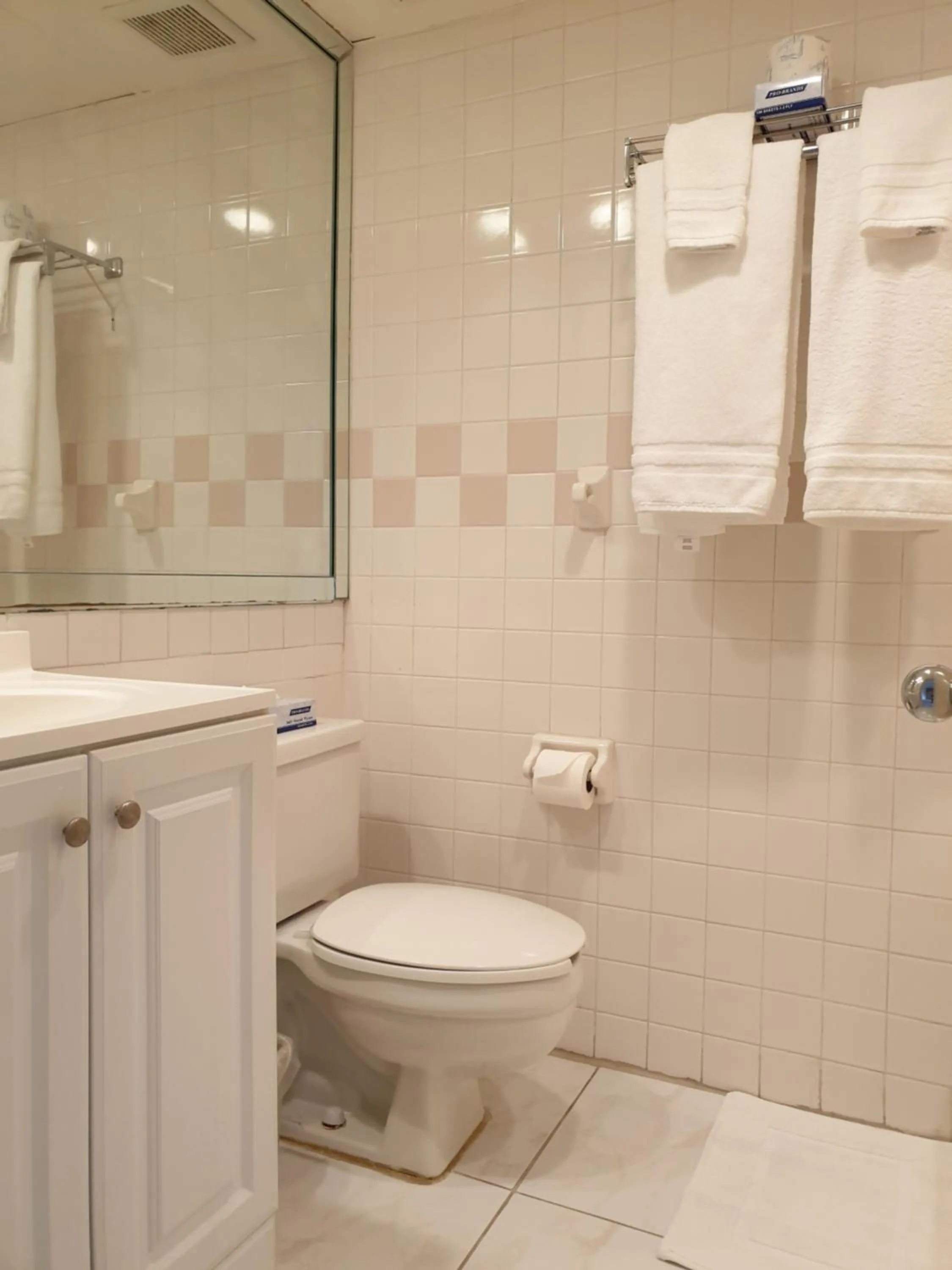 Toilet in Hotel Chateaubleau
