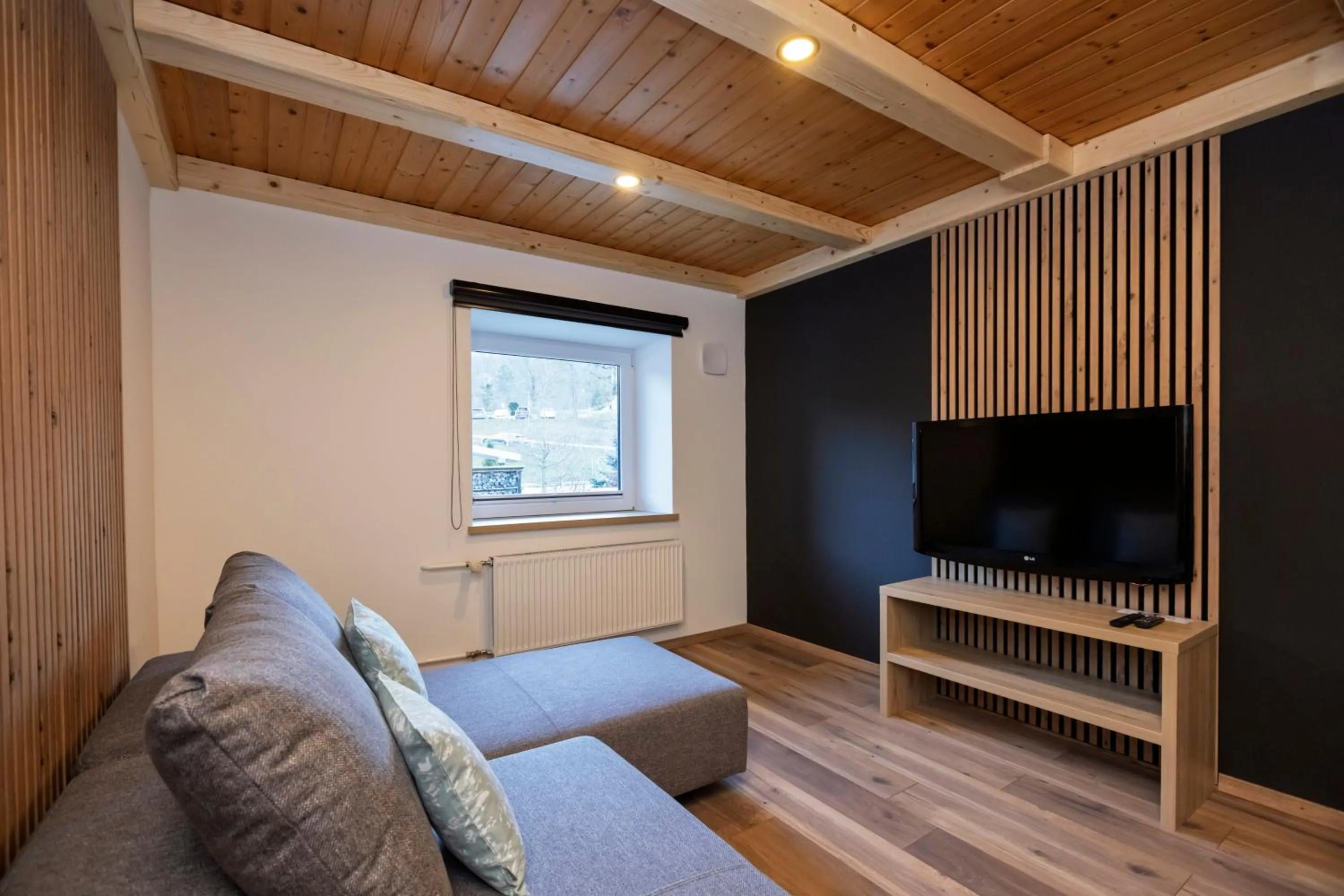 Living room in Apartments Alp
