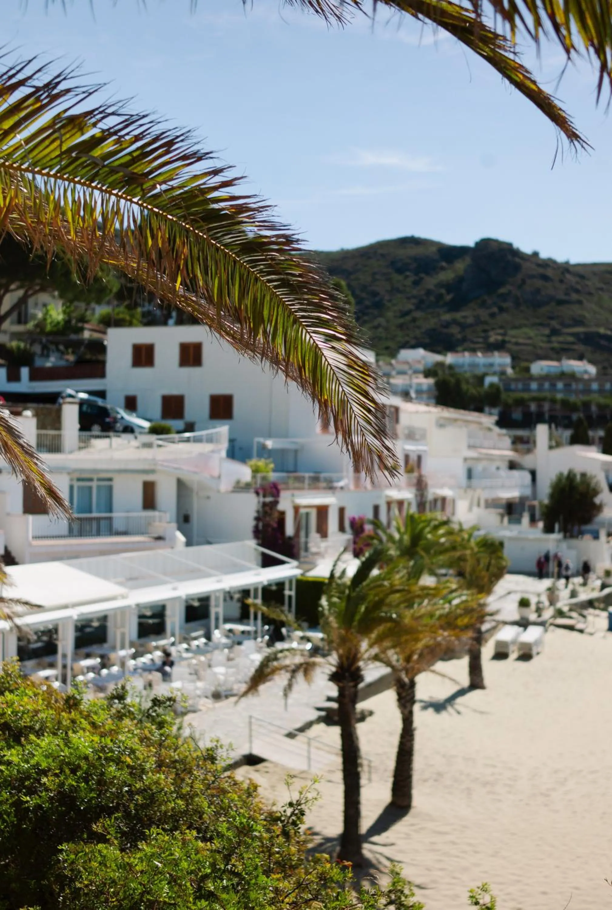 Property building in Santa Llucia Apartaments