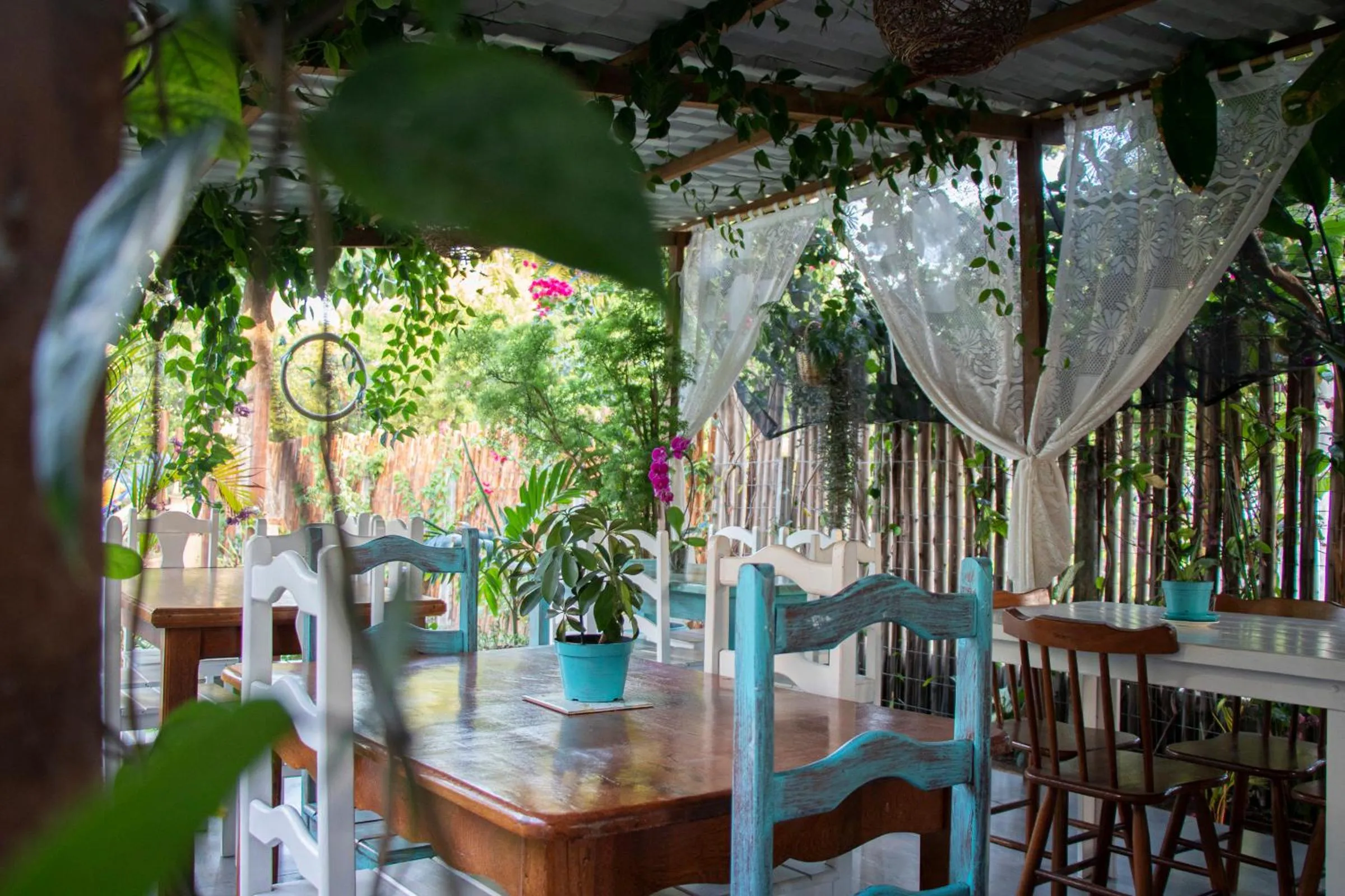 Restaurant/places to eat in Pousada Brisa Do Porto