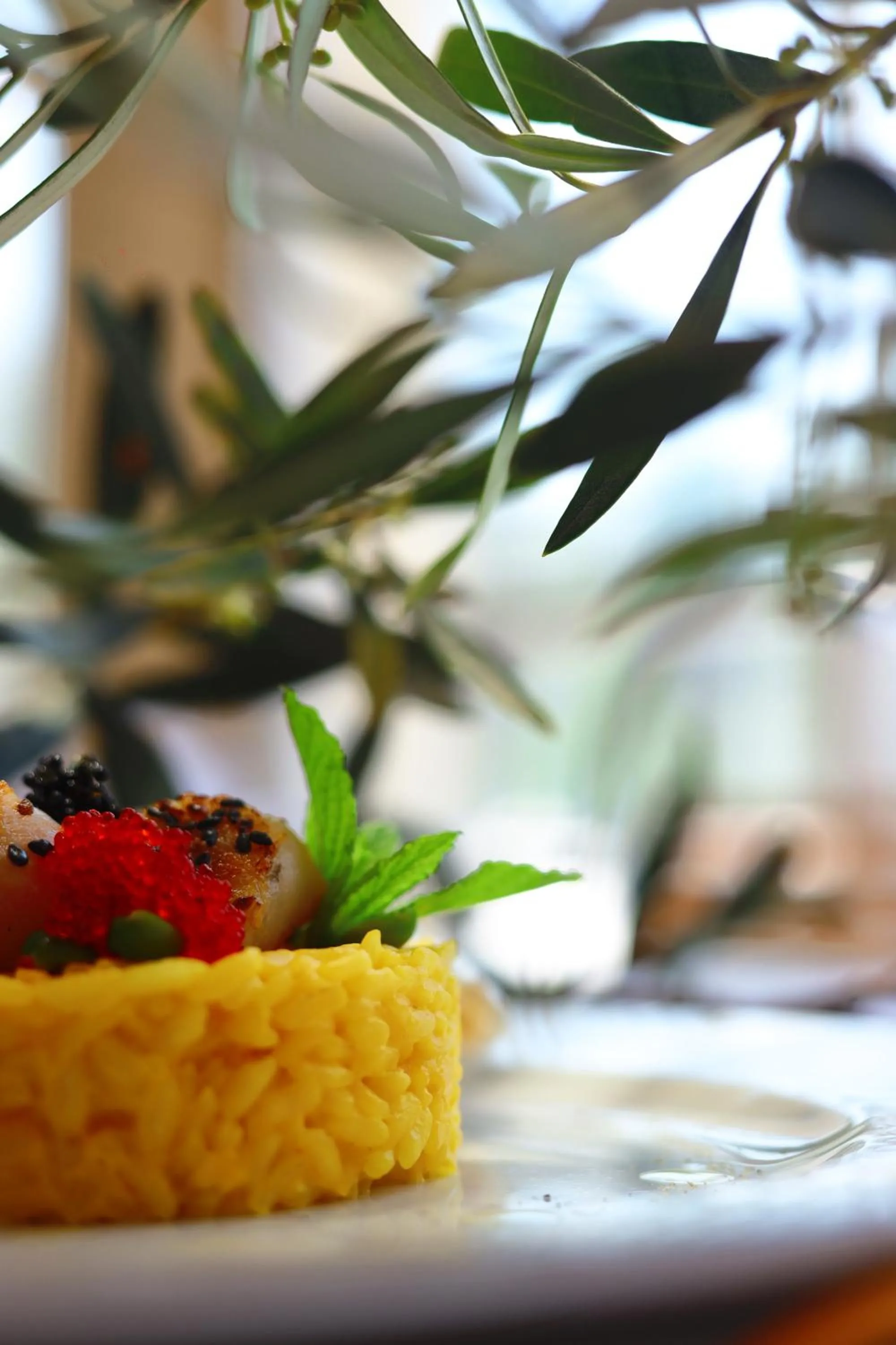 Food in Rapo's Resort Hotel