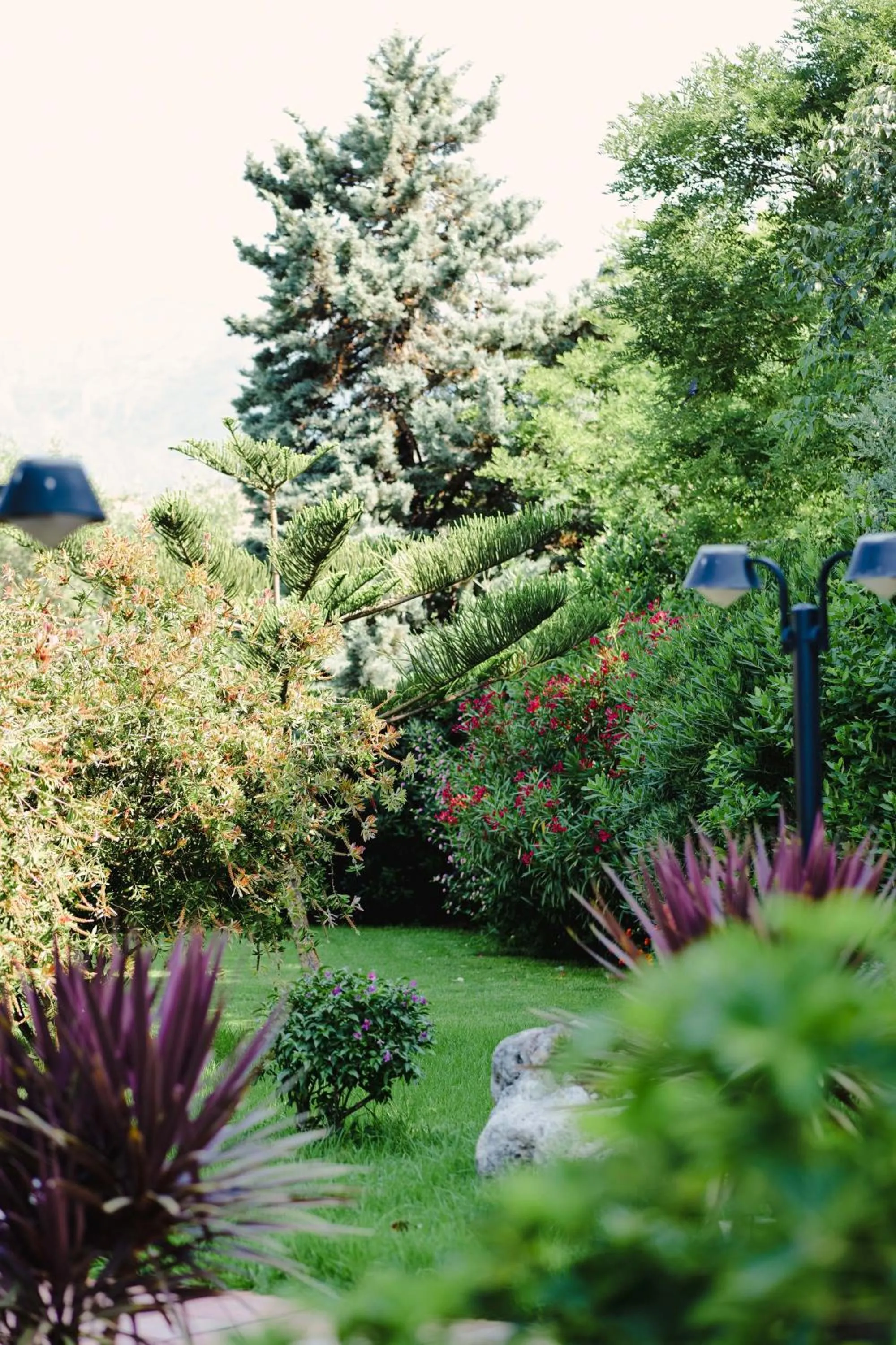 Garden view in Rapo's Resort Hotel