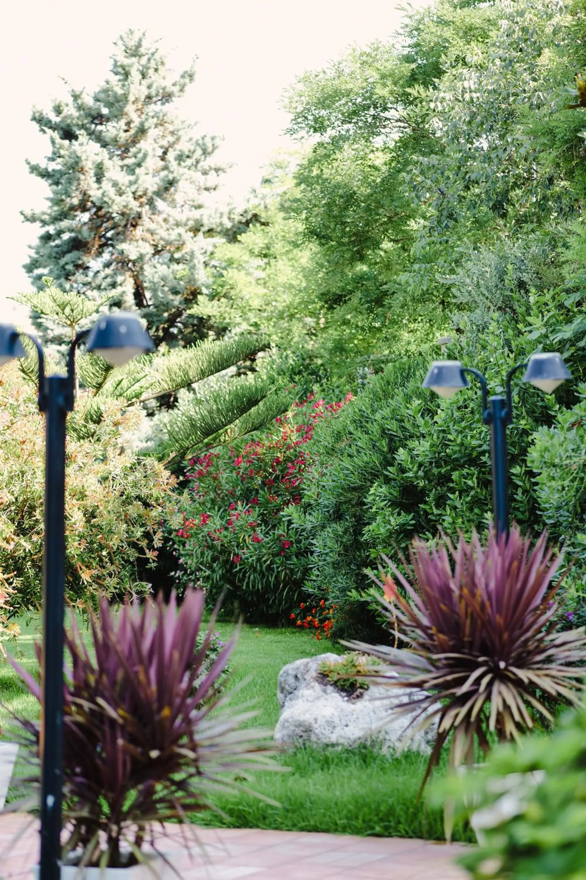 Garden in Rapo's Resort Hotel