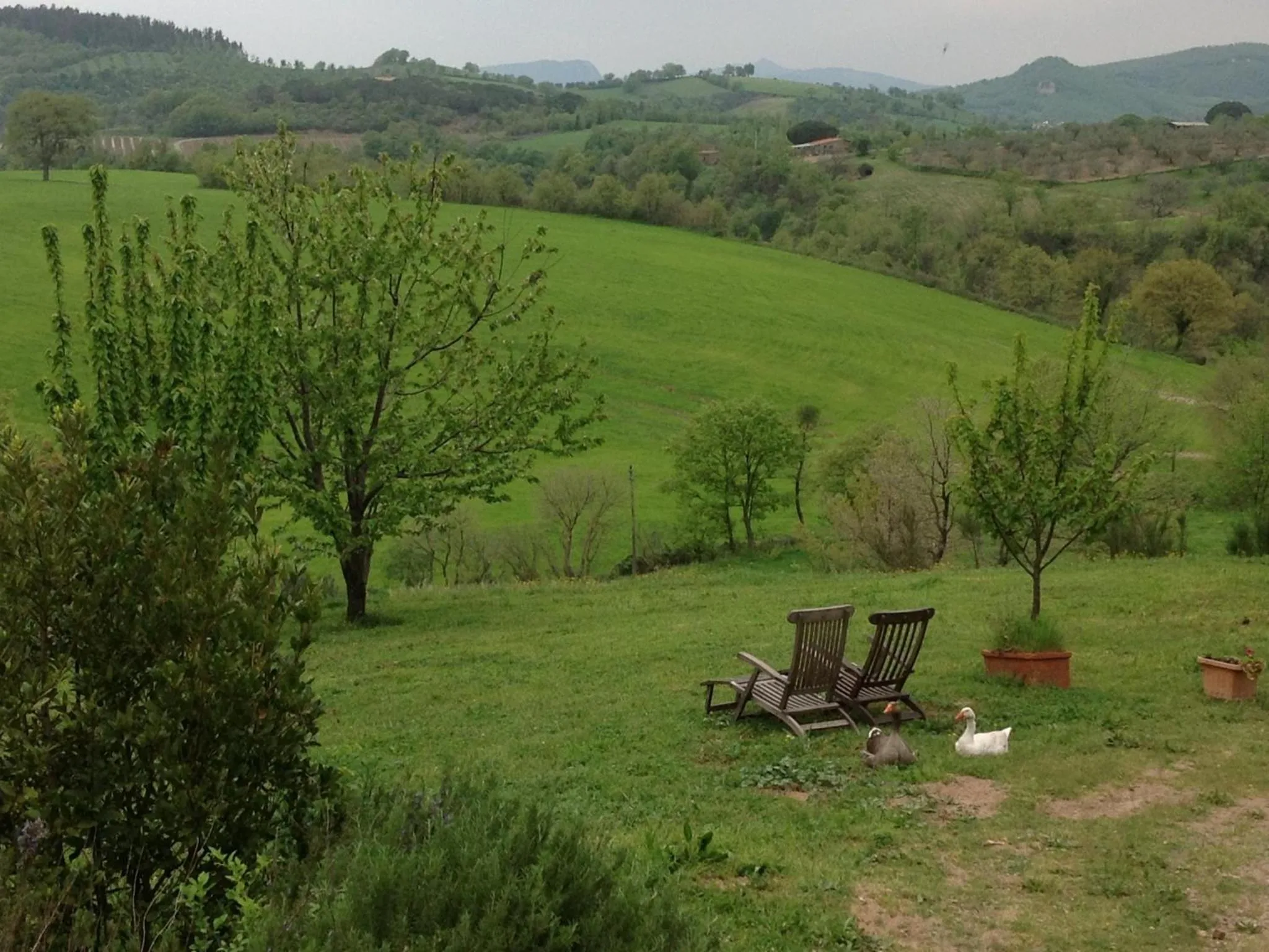Garden view in PoggioBa
