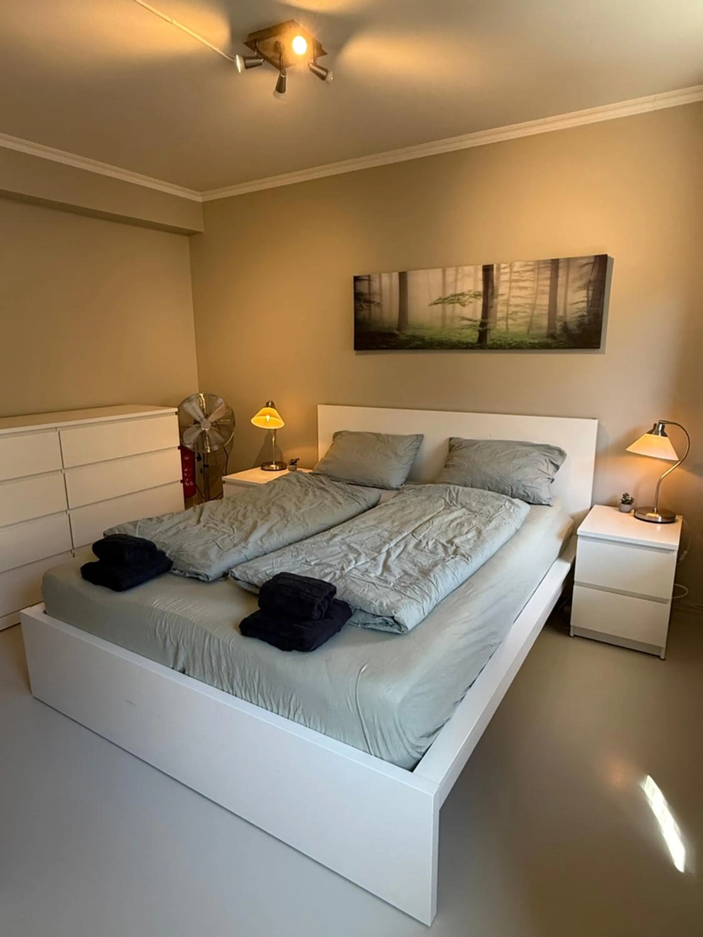 Bed in Notodden Sentrum Apartment NO 2