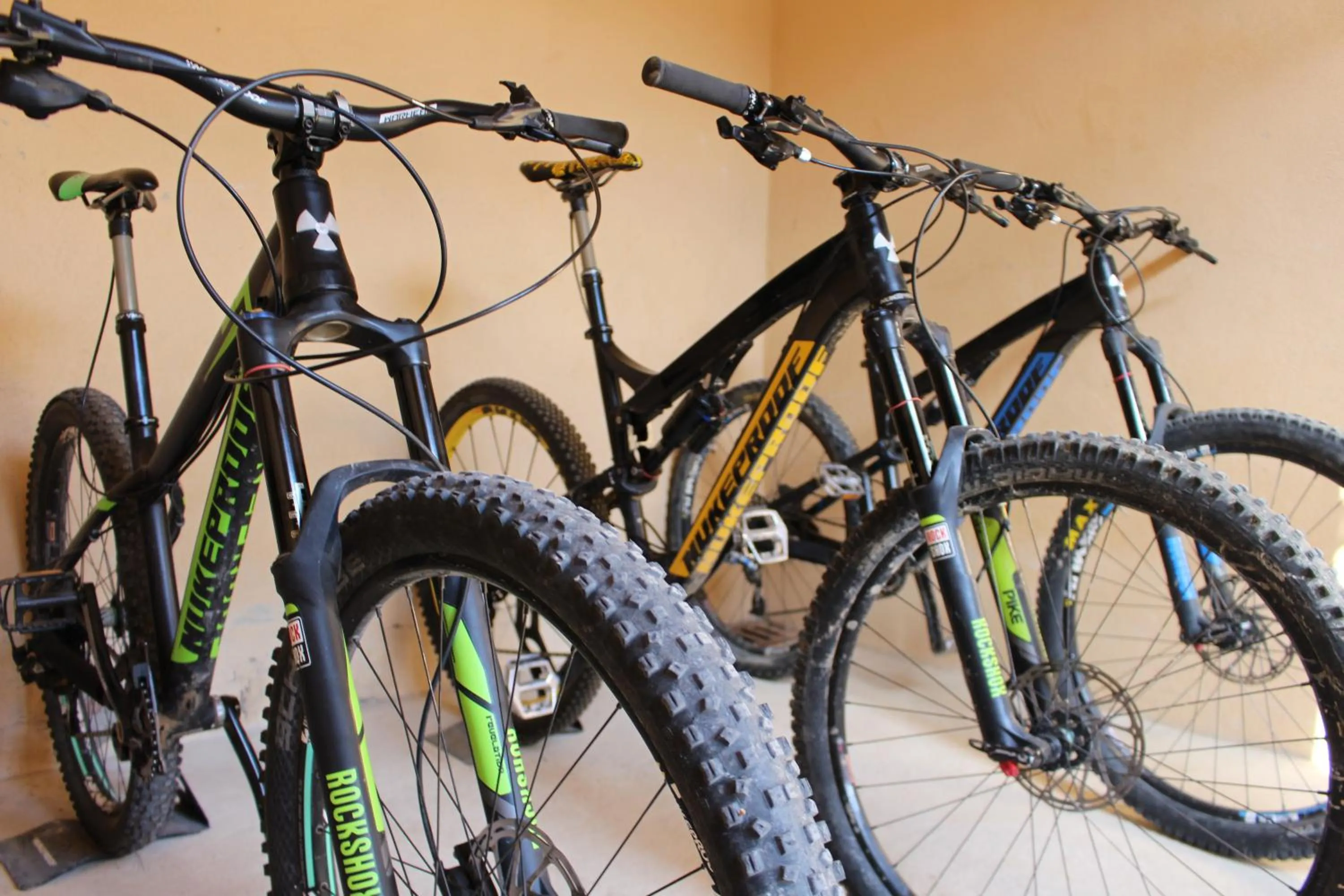 Cycling in Torre del Marqués Hotel Spa & Winery - Small Luxury Hotels