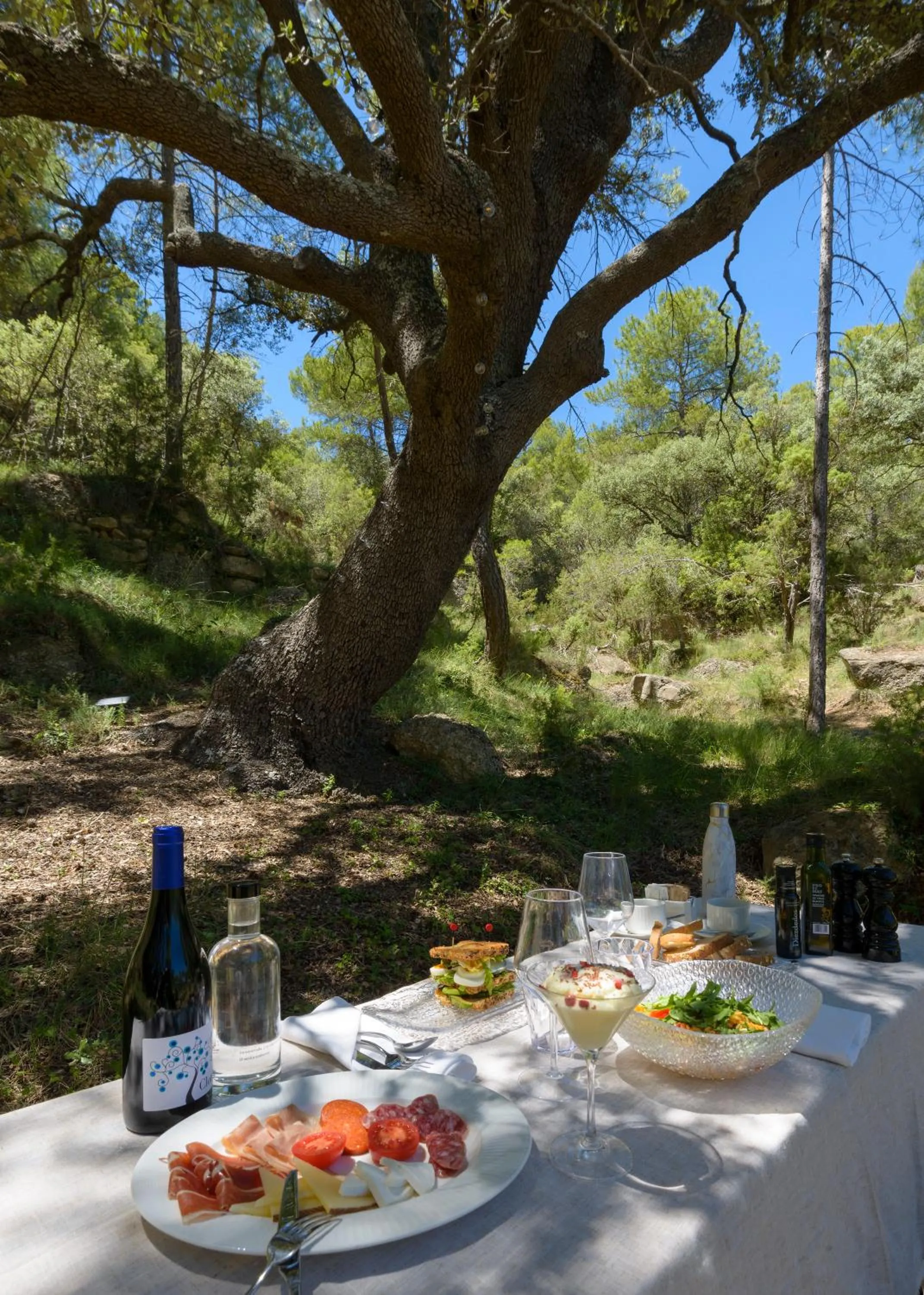 Torre del Marqués Hotel Spa & Winery - Small Luxury Hotels