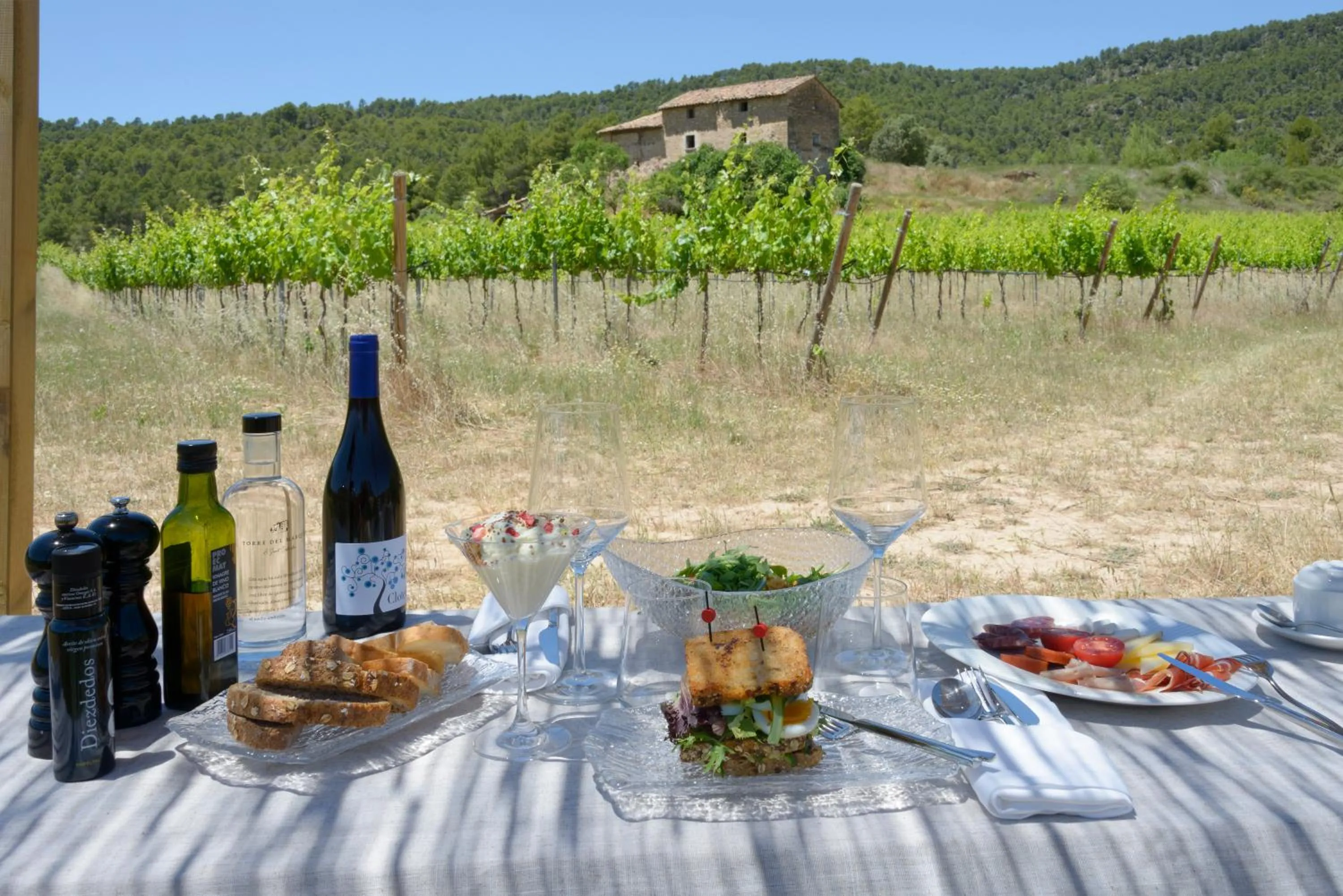 Natural landscape in Torre del Marqués Hotel Spa & Winery - Small Luxury Hotels