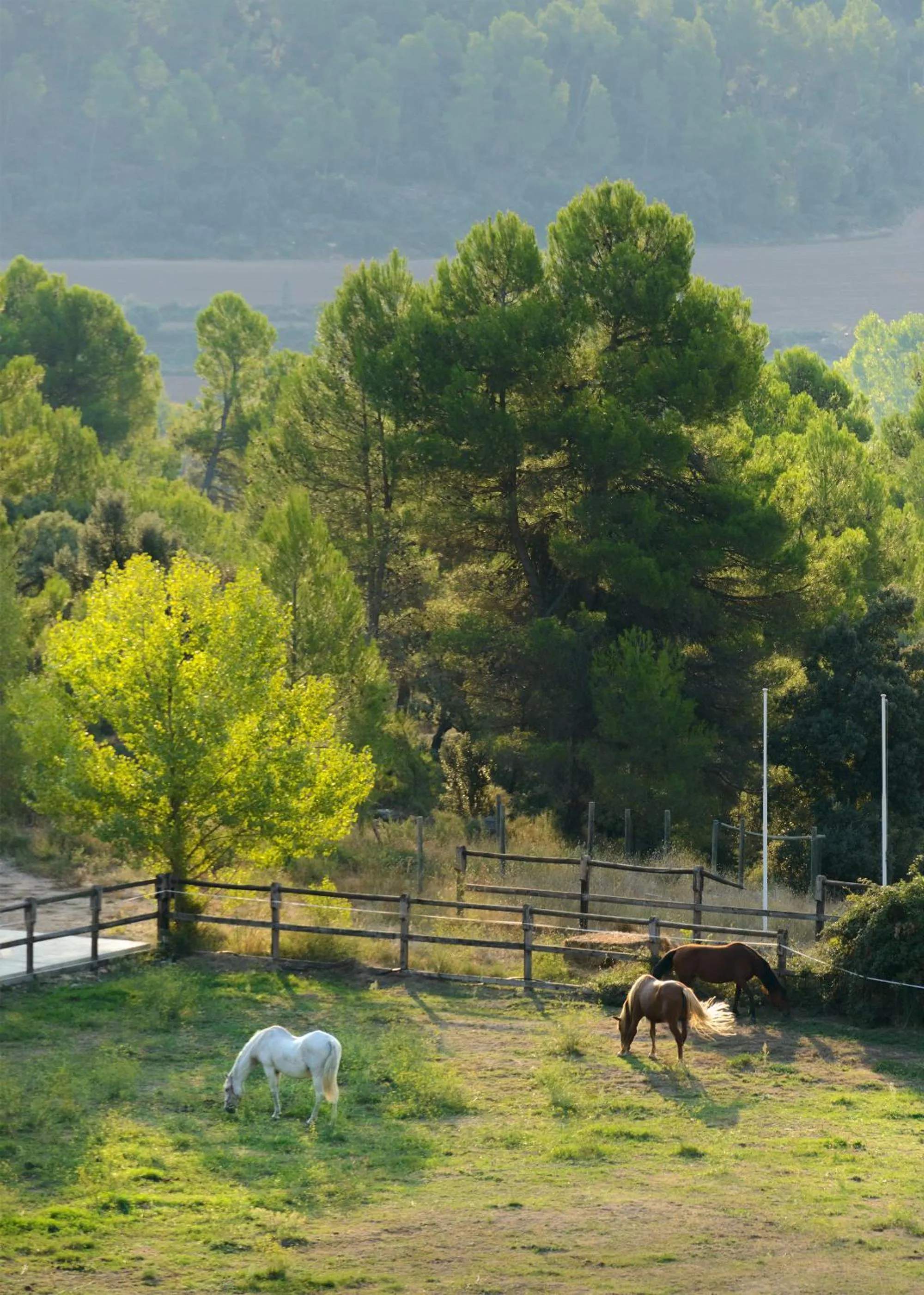 Activities in Torre del Marqués Hotel Spa & Winery - Small Luxury Hotels