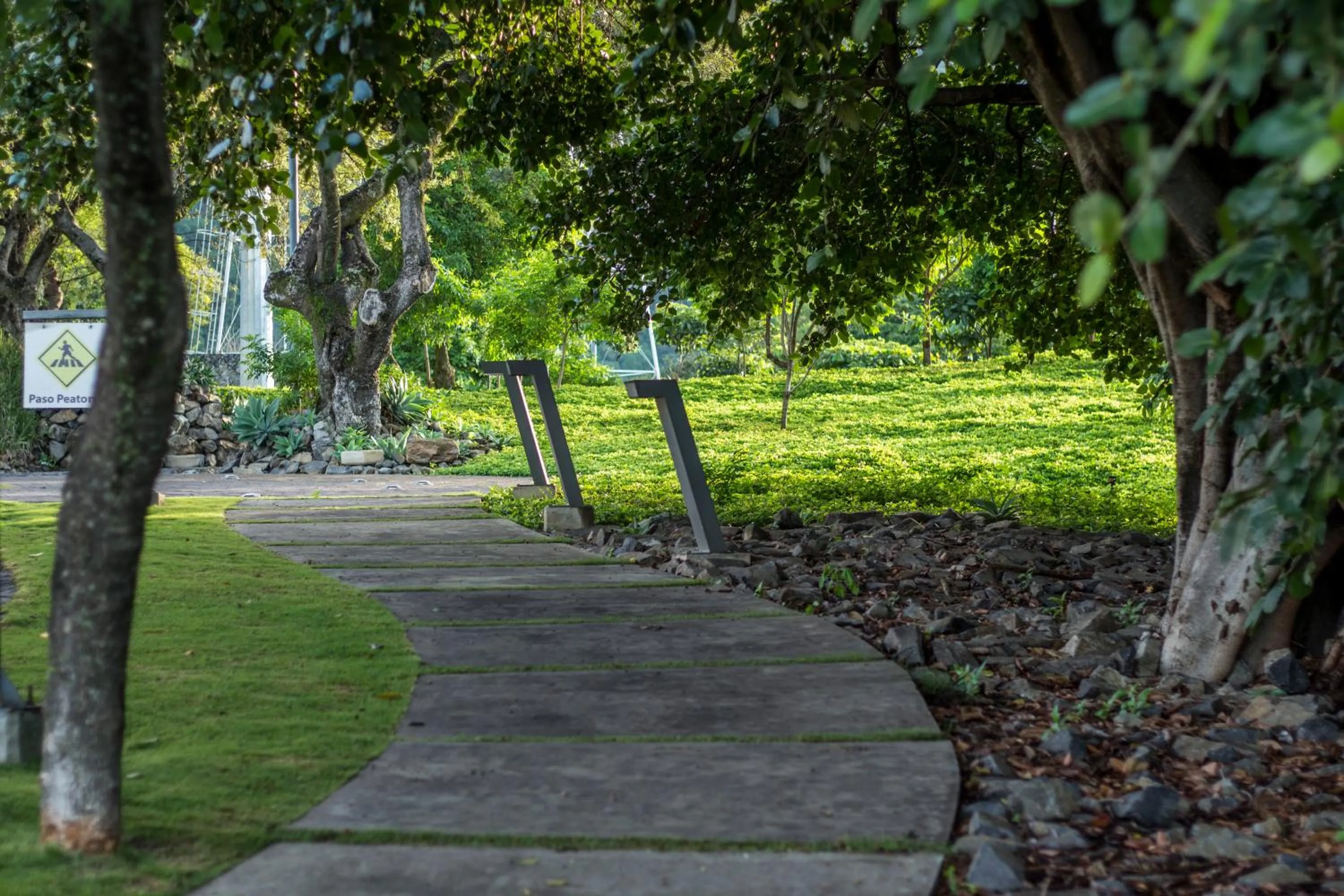 Garden in Kawilal Hotel