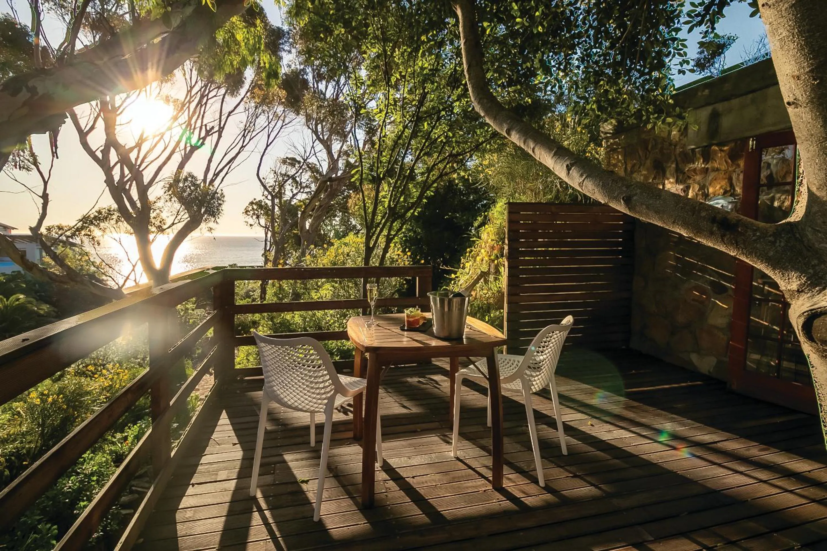 View (from property/room) in Camps Bay Forest Pods