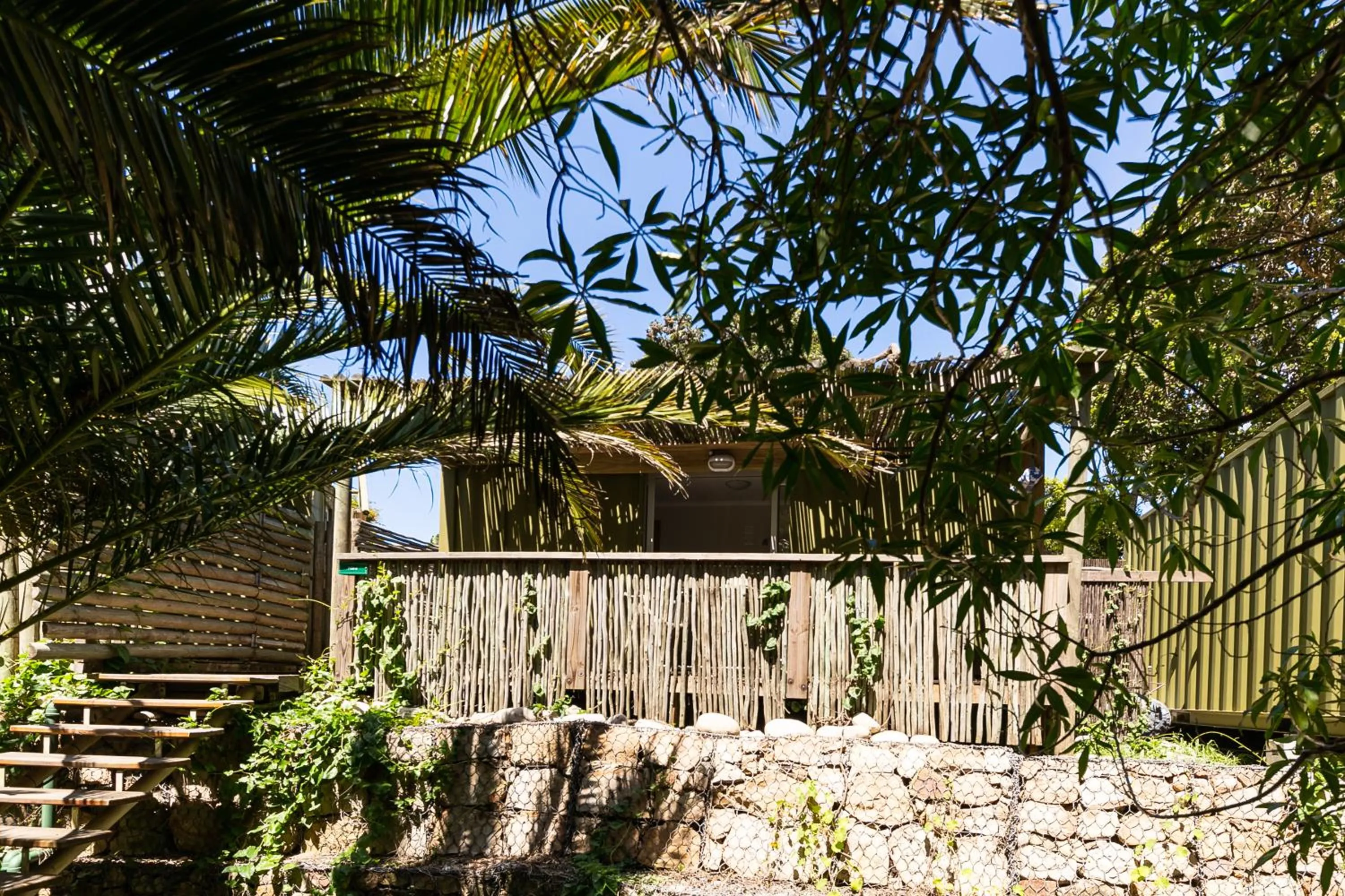 Spring in Camps Bay Forest Pods