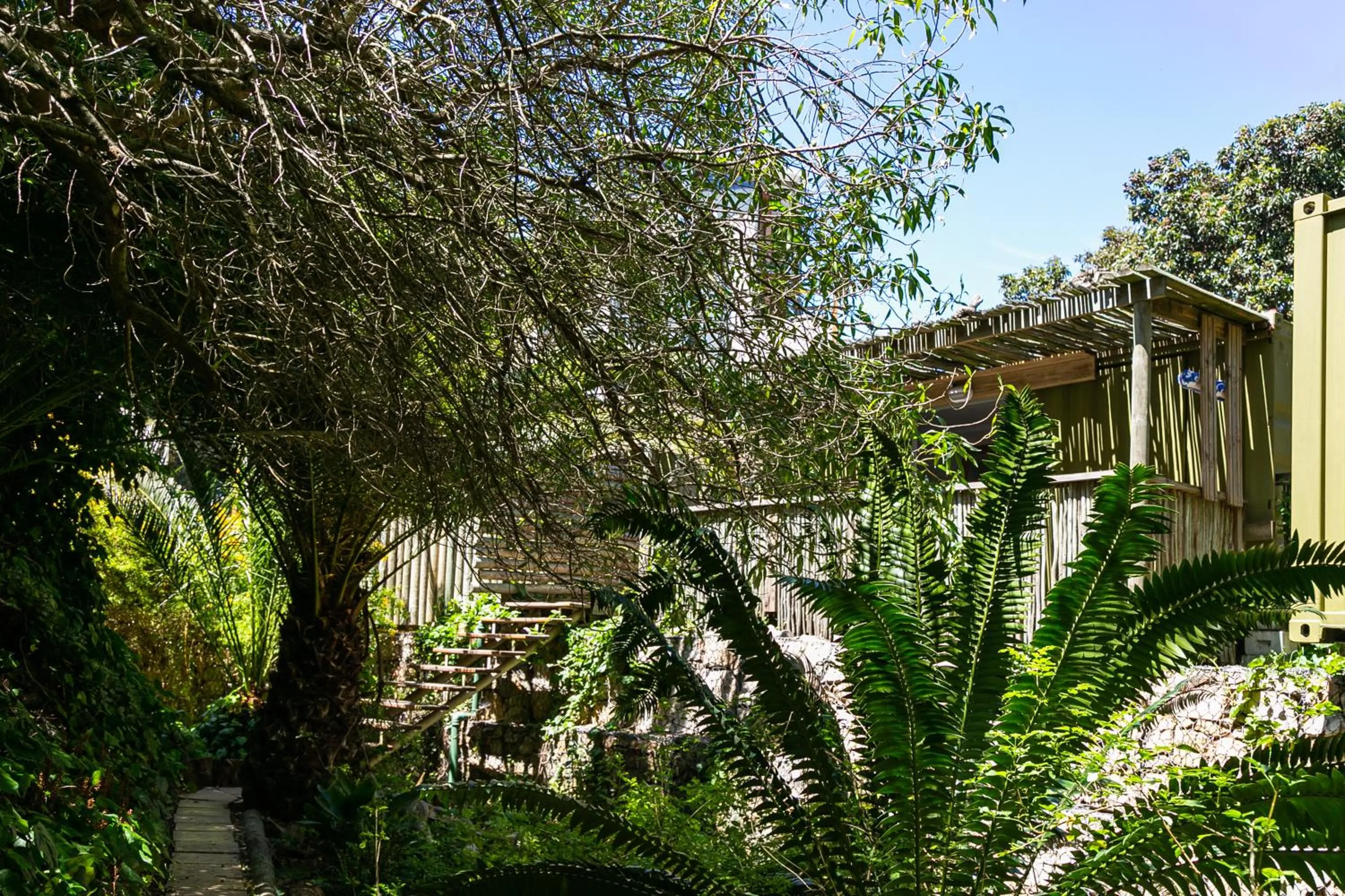 Spring in Camps Bay Forest Pods