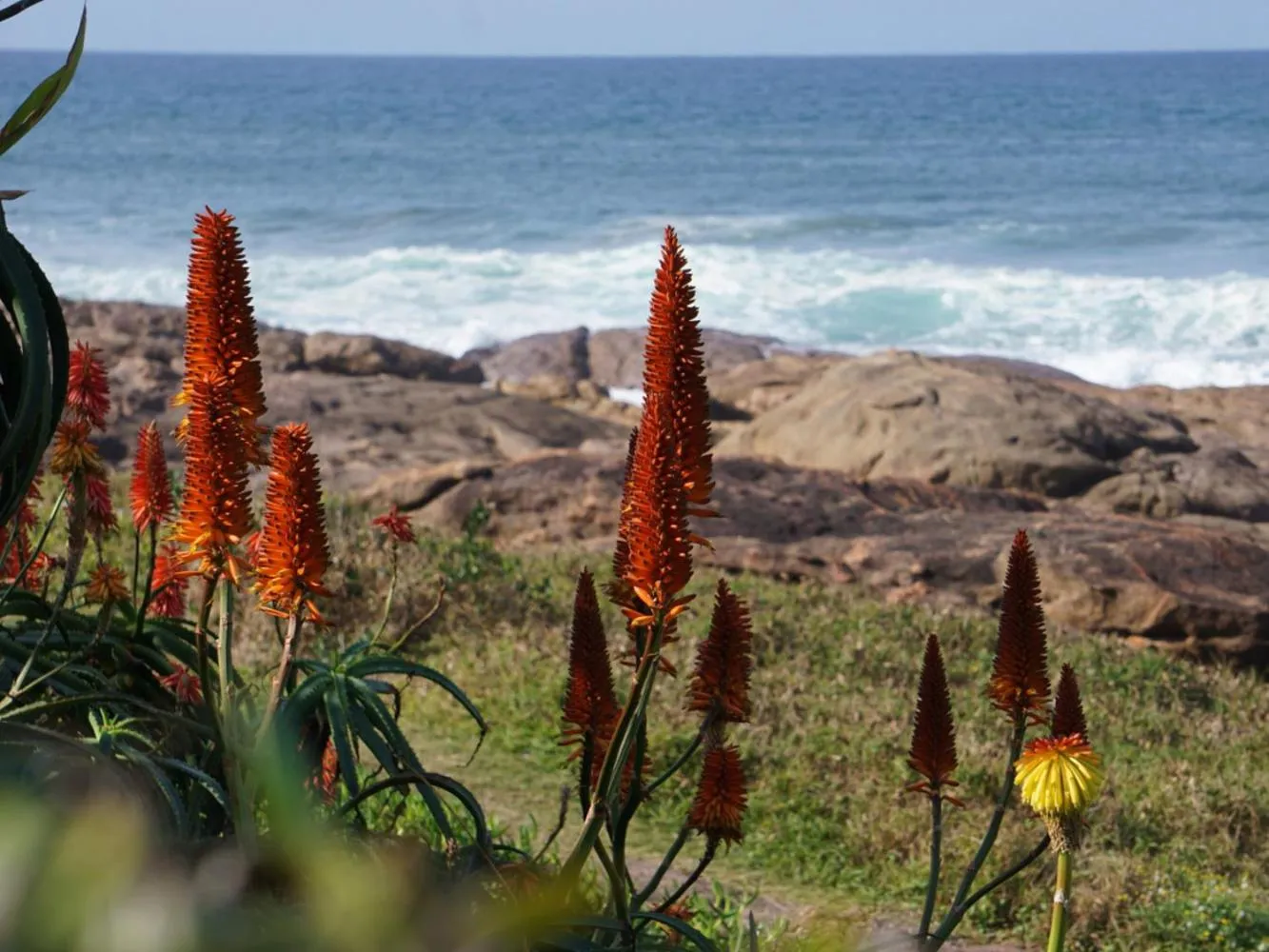 Beach in Southern Comfort - On the Pool