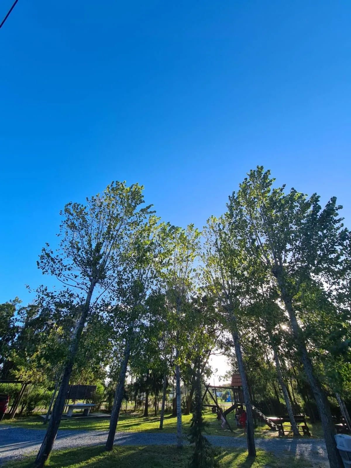 Natural landscape in Complejo Cabañas Piriápolis
