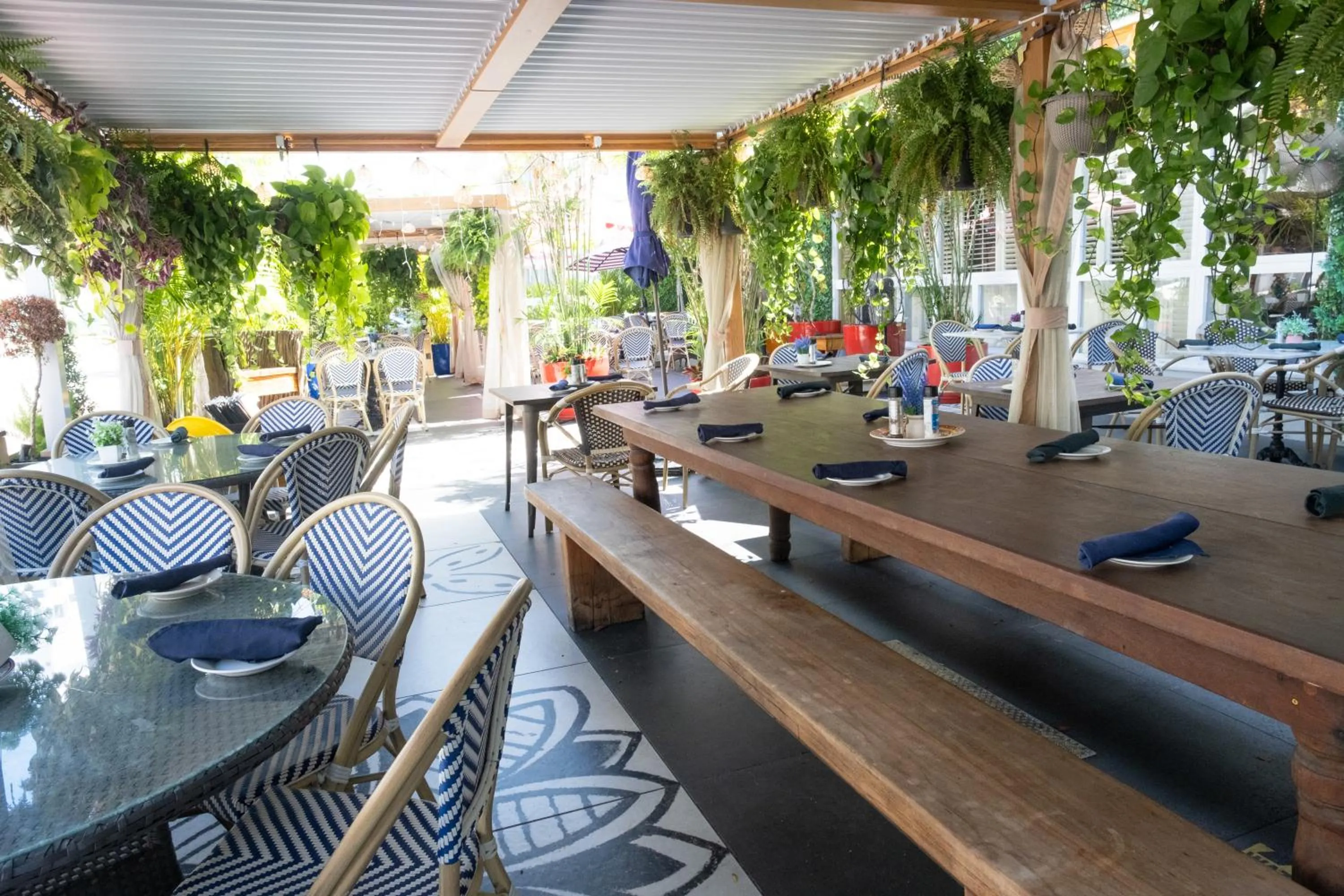 Restaurant/places to eat in Catalina Hotel & Beach Club