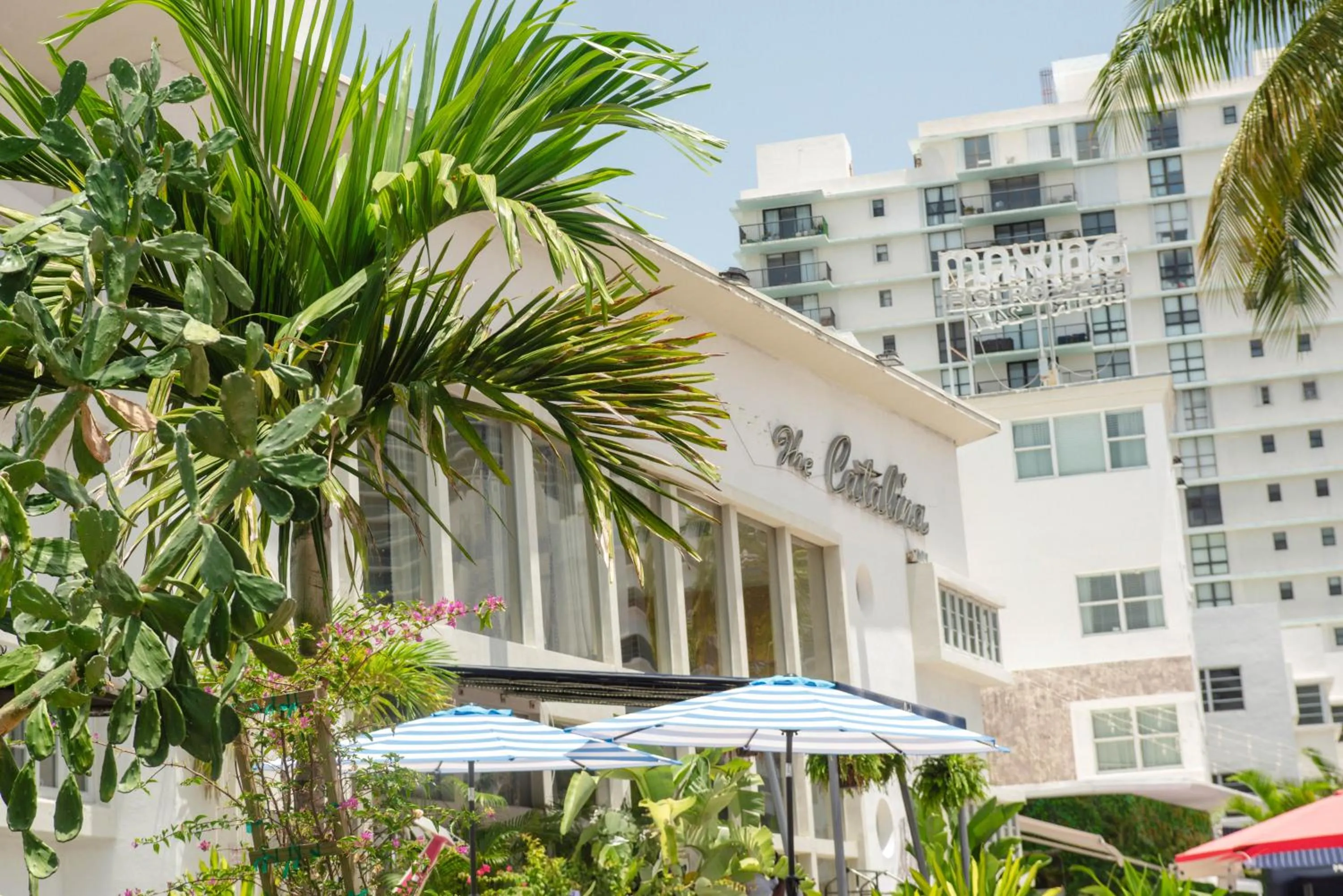 Property building in Catalina Hotel & Beach Club