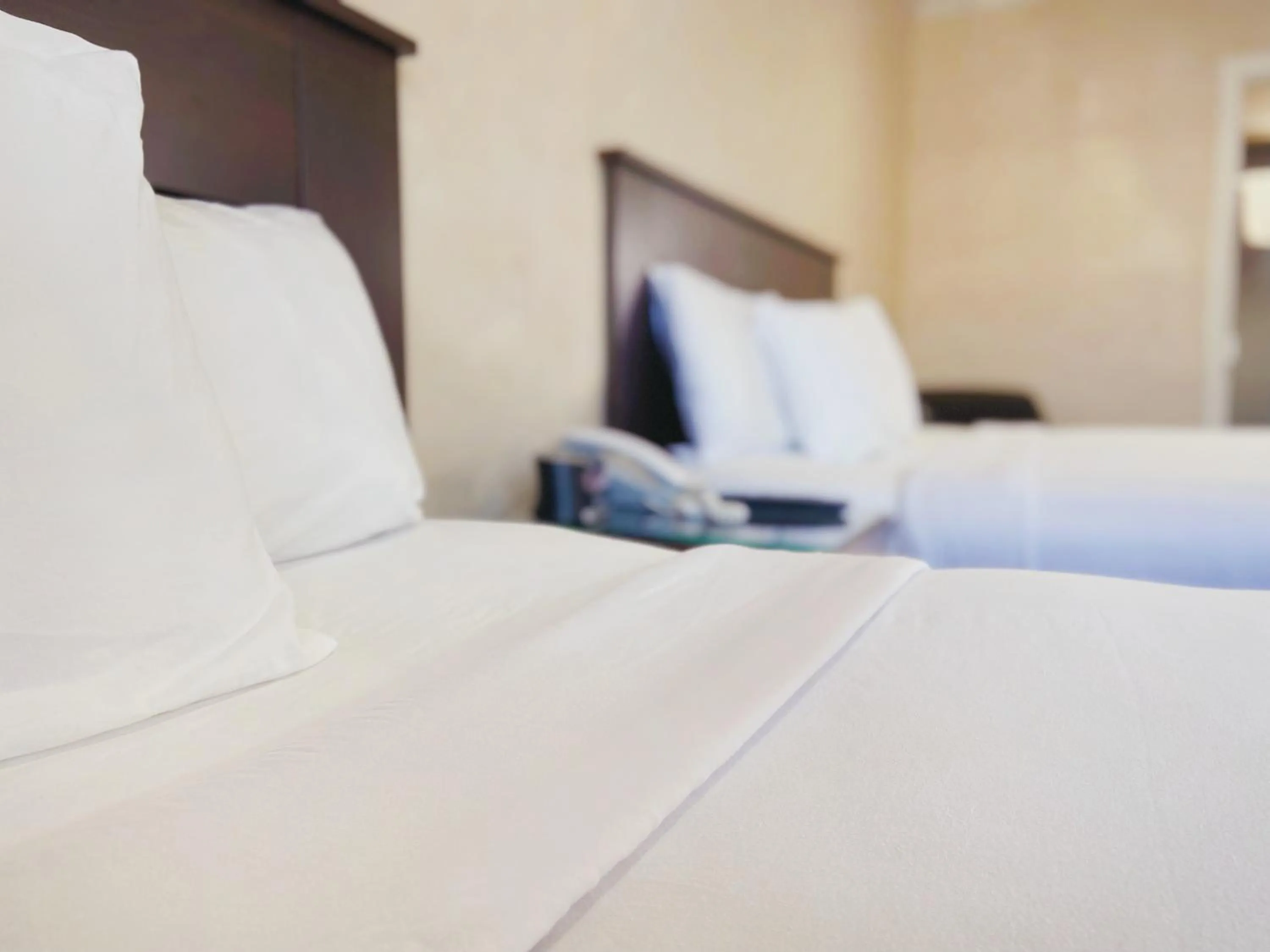 Bed in Nite Inn at Universal City - Walking Distance to Universal Studios Hollywood