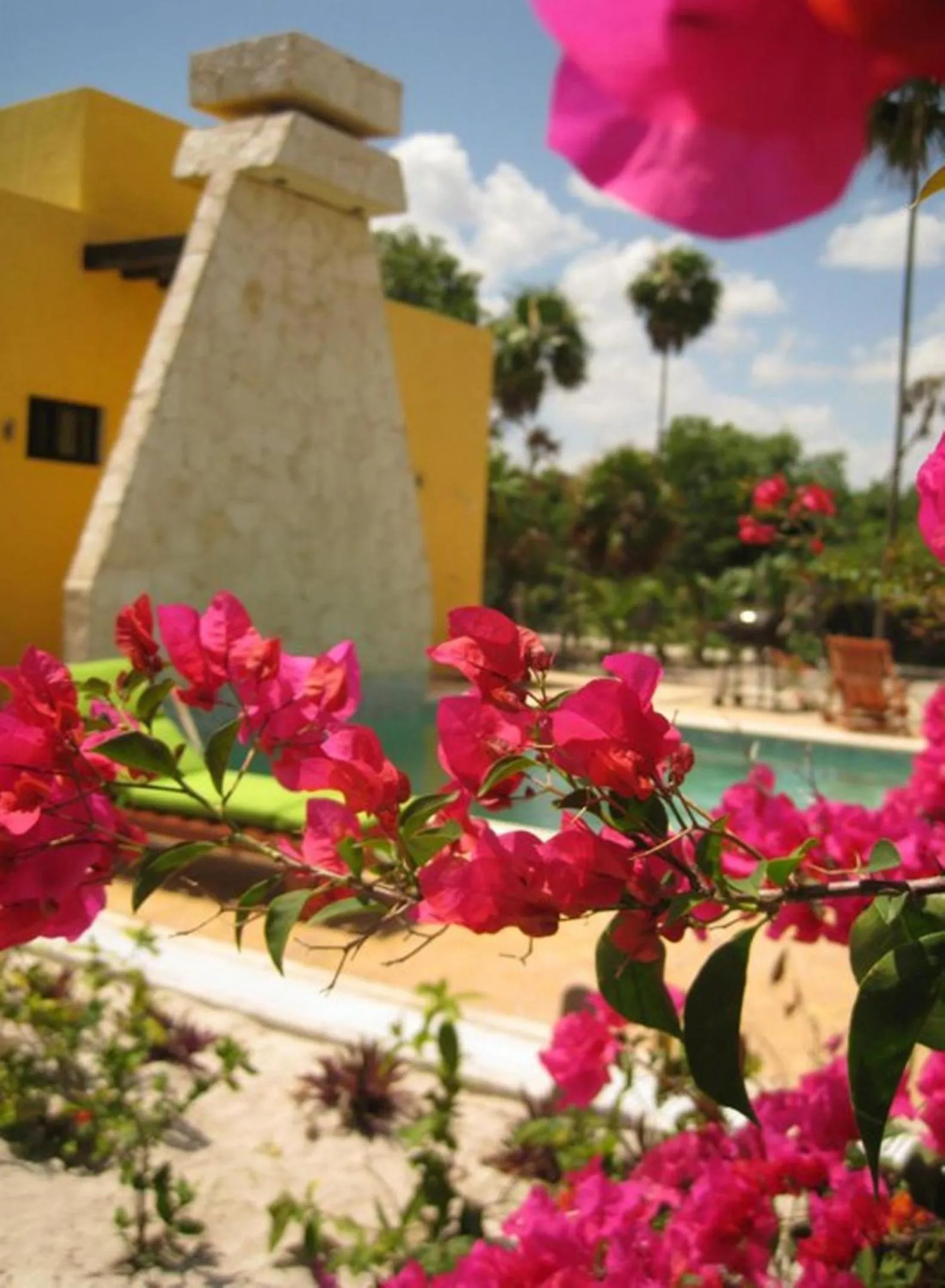 Spring in Margarita del Sol Hotel Costa Maya