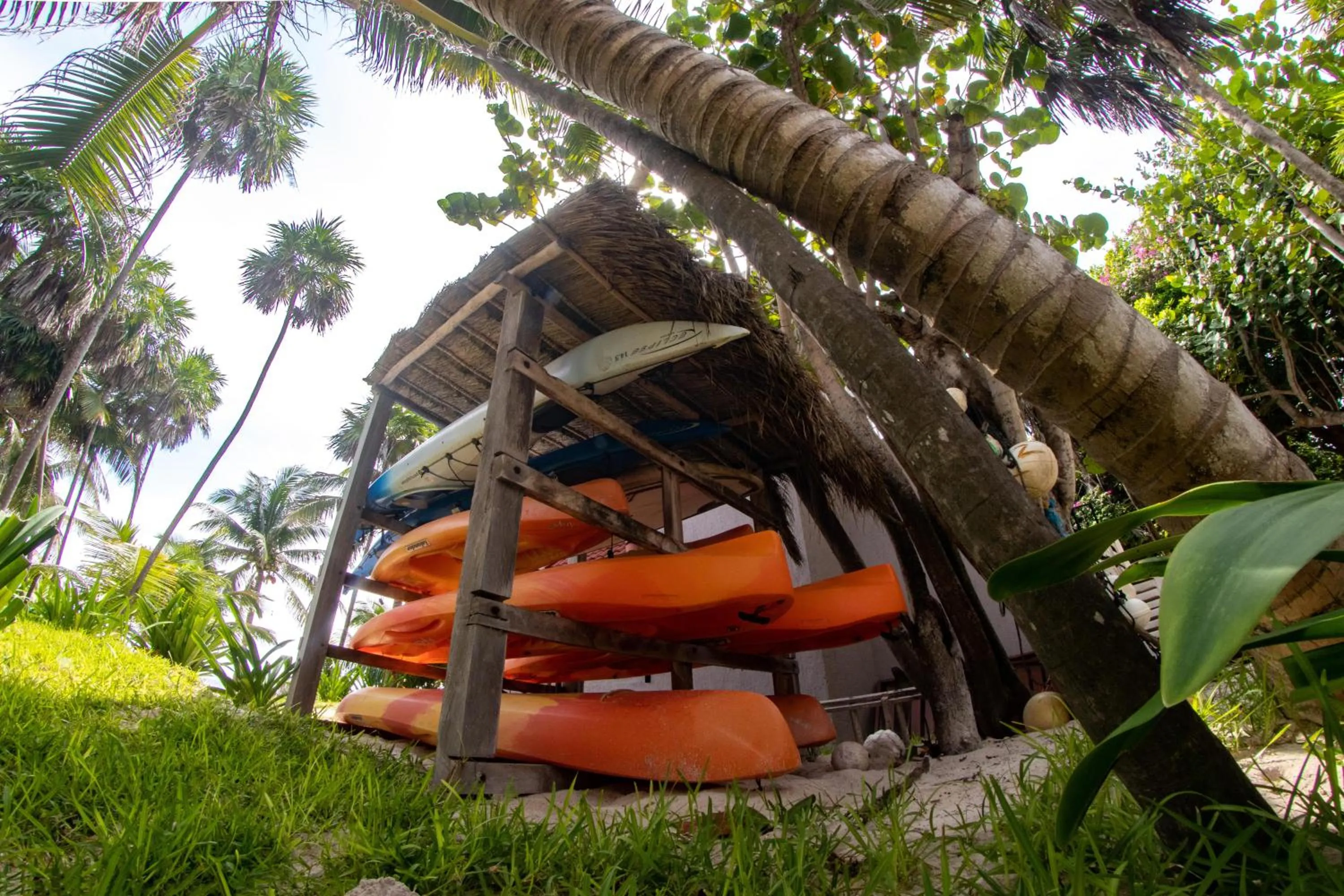 Natural landscape in Margarita del Sol Hotel Costa Maya