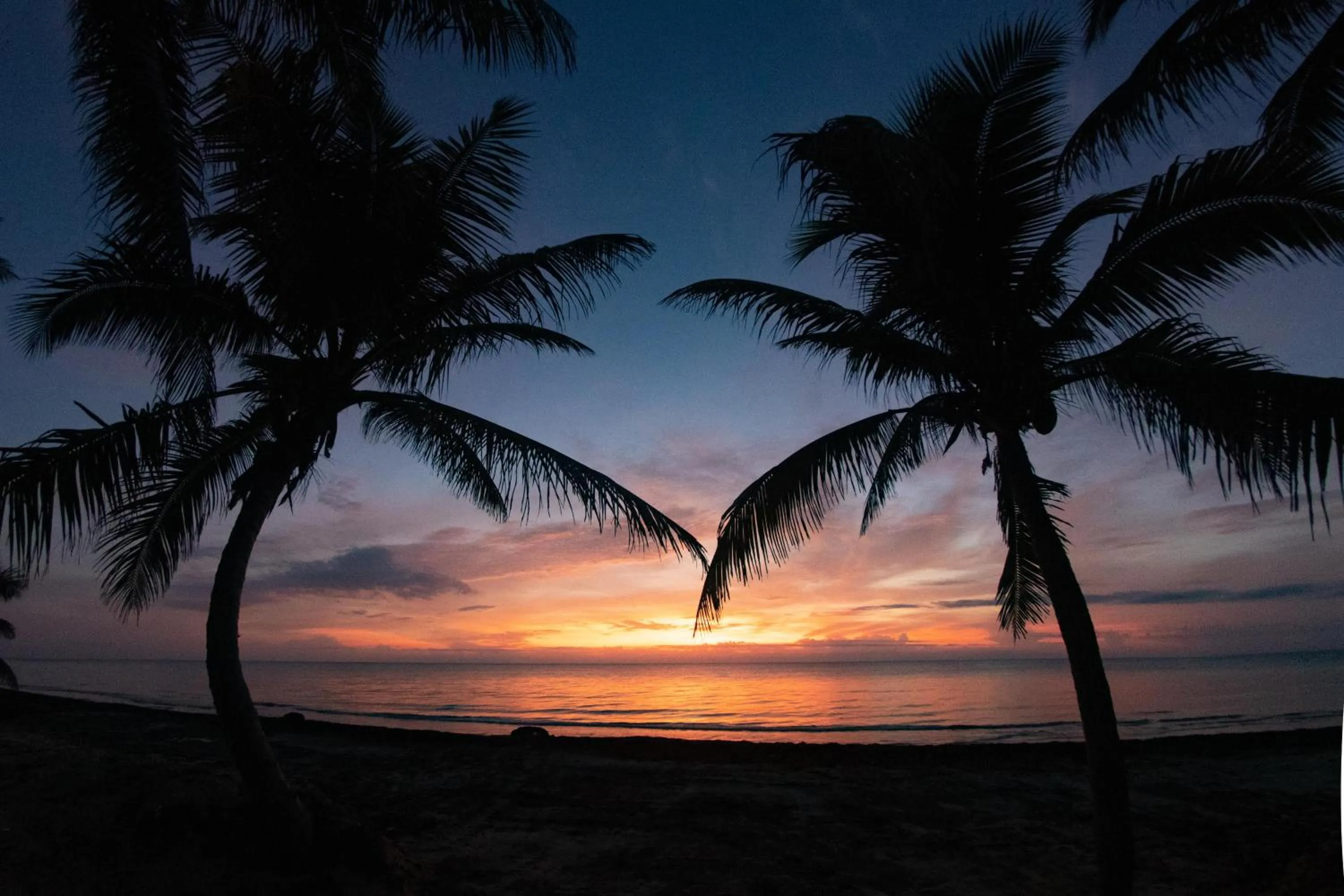 Beach in Margarita del Sol Hotel Costa Maya