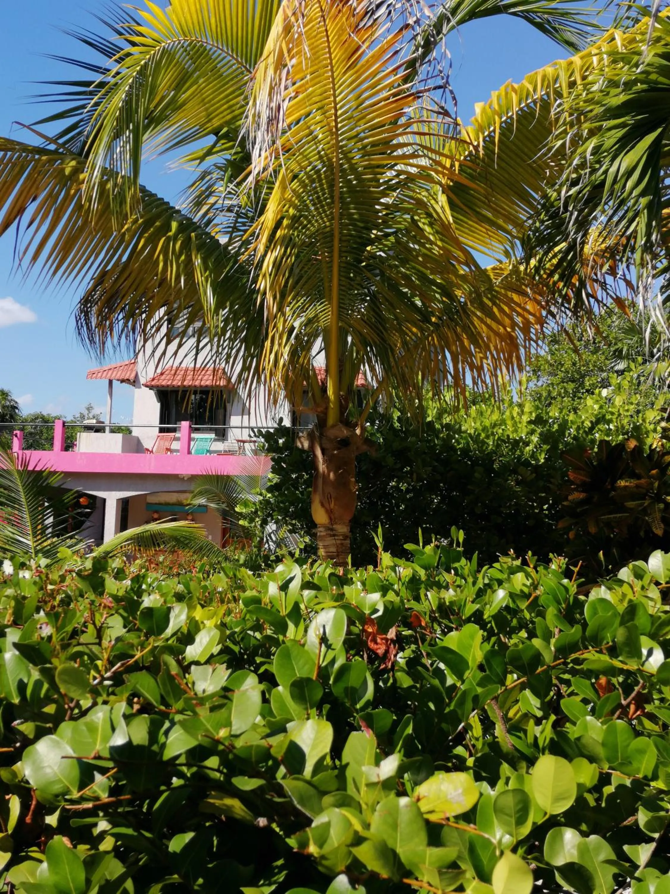 Property building in Margarita del Sol Hotel Costa Maya