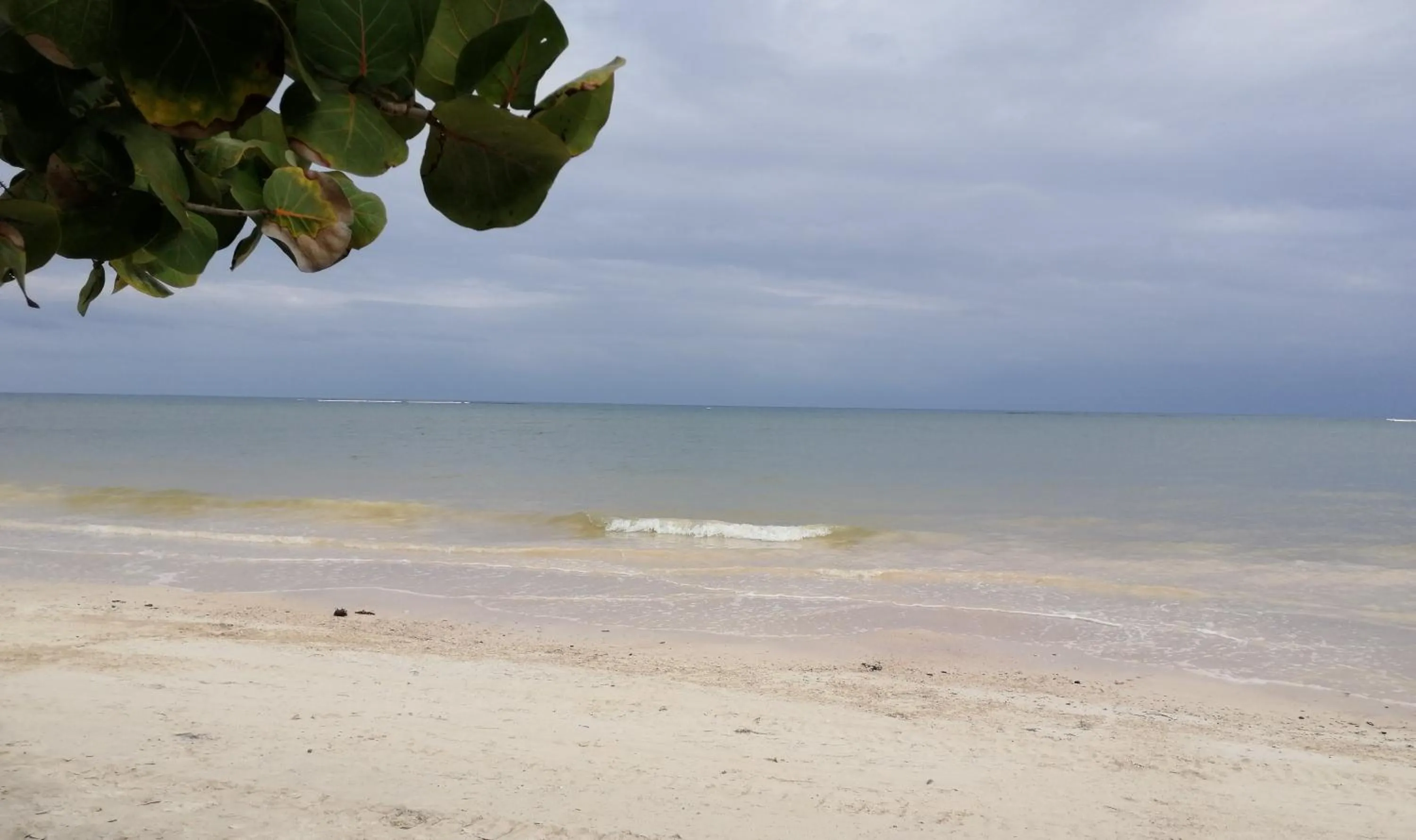Natural landscape in Margarita del Sol Hotel Costa Maya