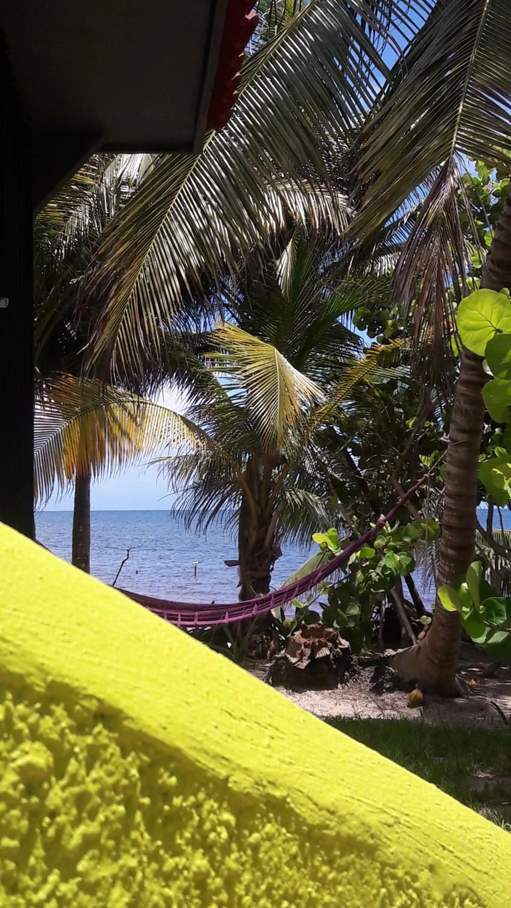 View (from property/room) in Margarita del Sol Hotel Costa Maya