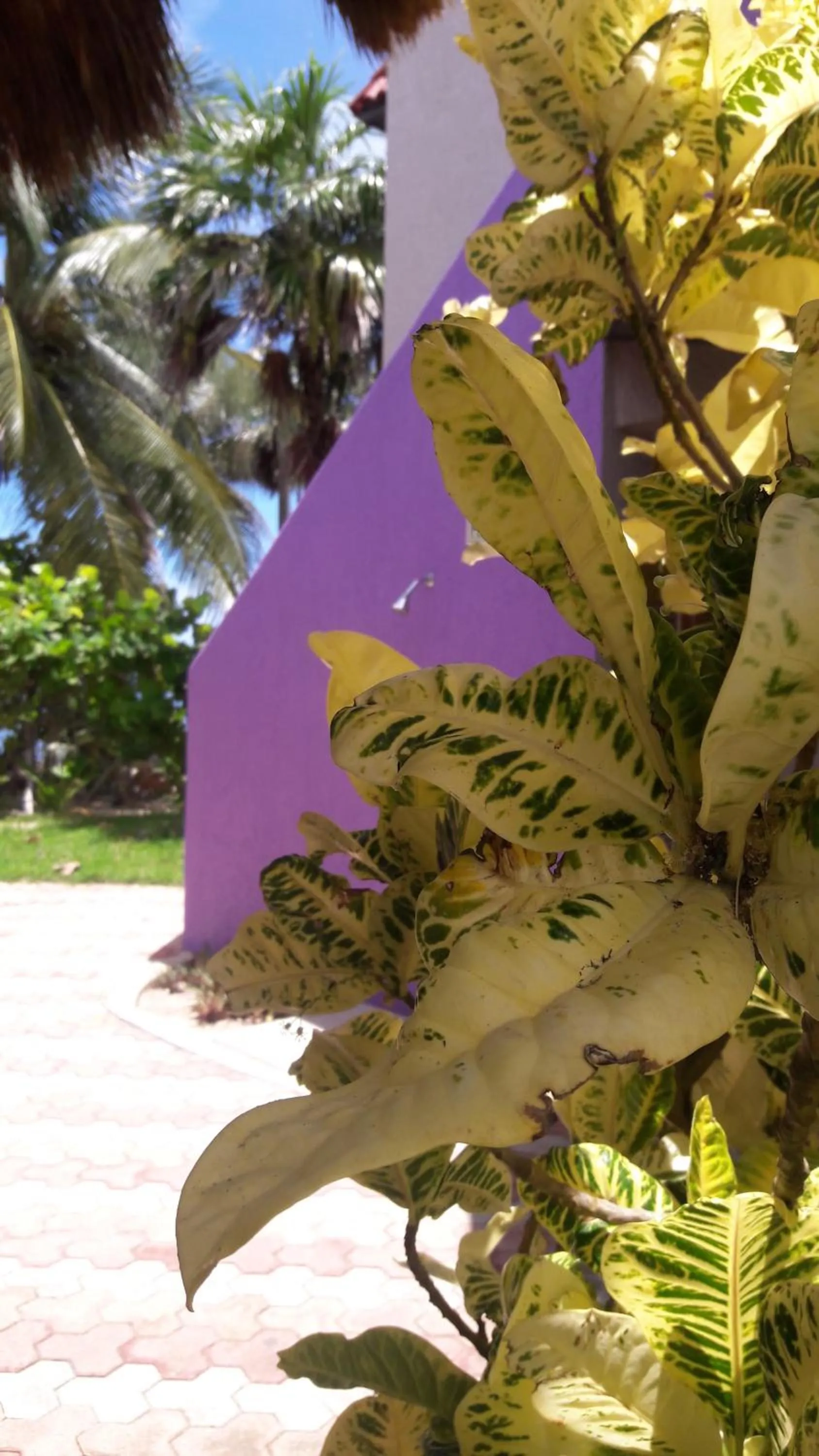 Property building in Margarita del Sol Hotel Costa Maya